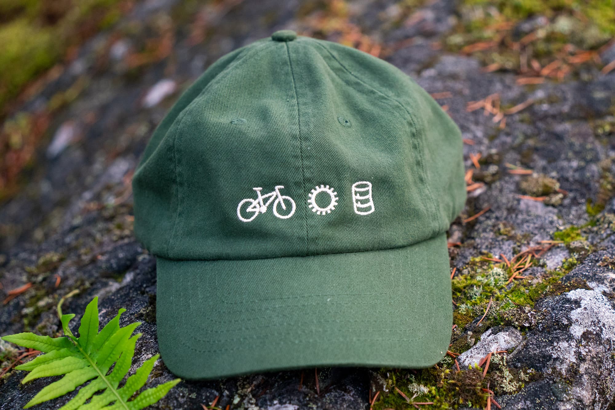 hat with fern