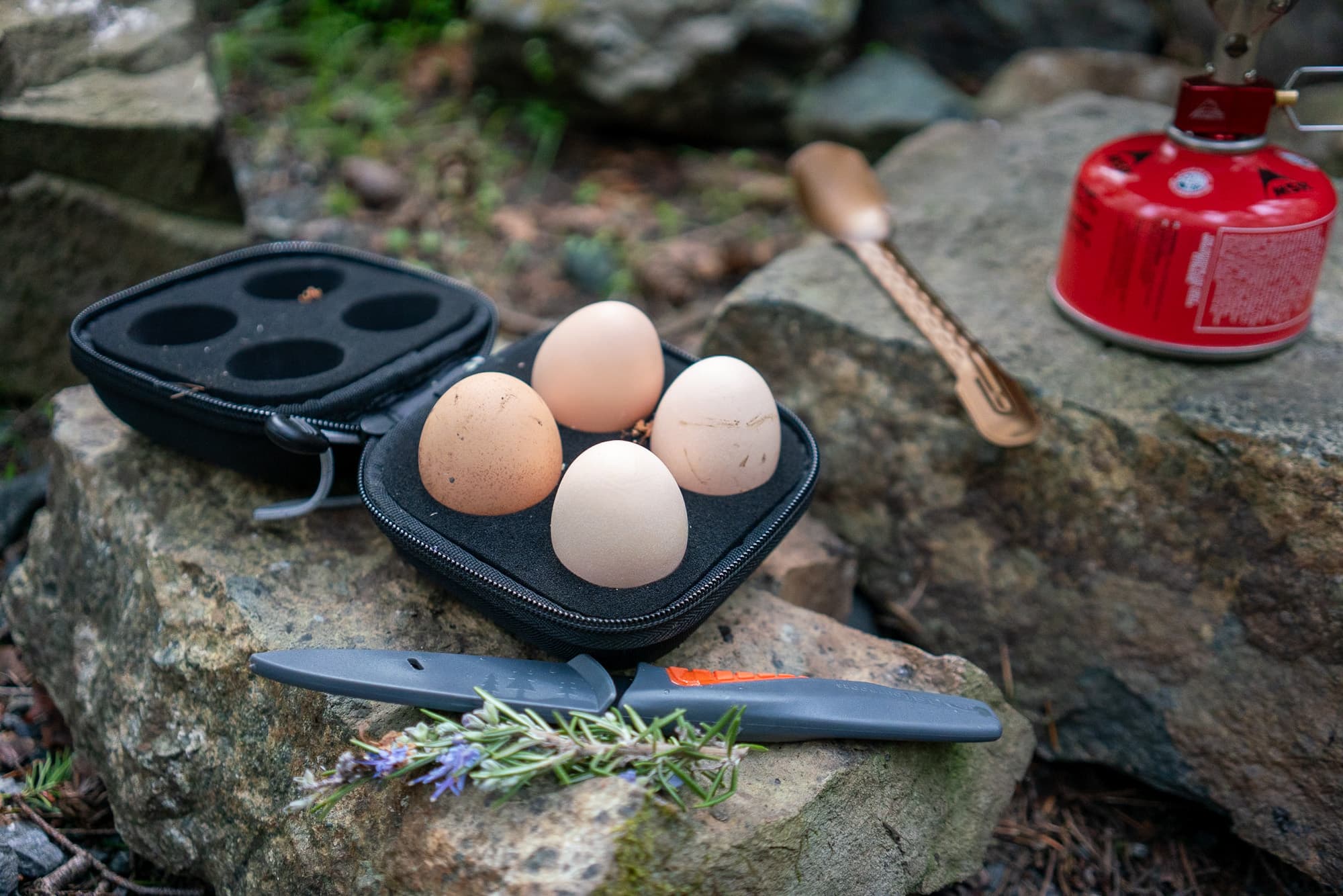 Ready to cook eggs in the forest.