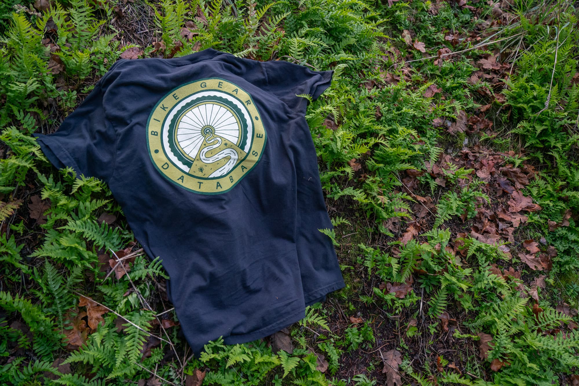 tshirt in ferns