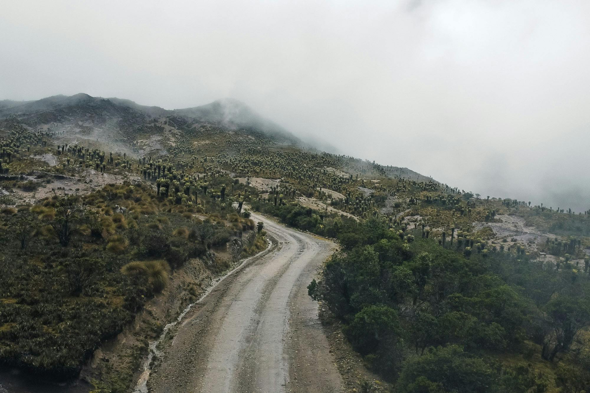 andes gravel road