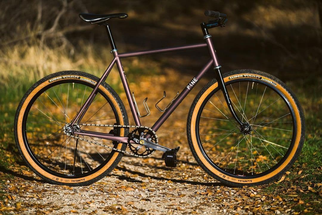 Pine Cycles 3