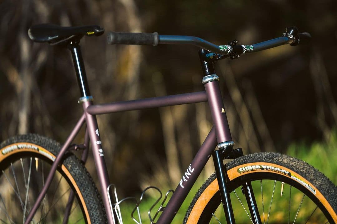Pine Cycles 4