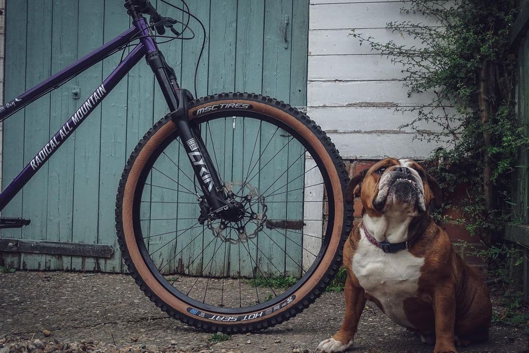 Radical All Mountain bikes 2