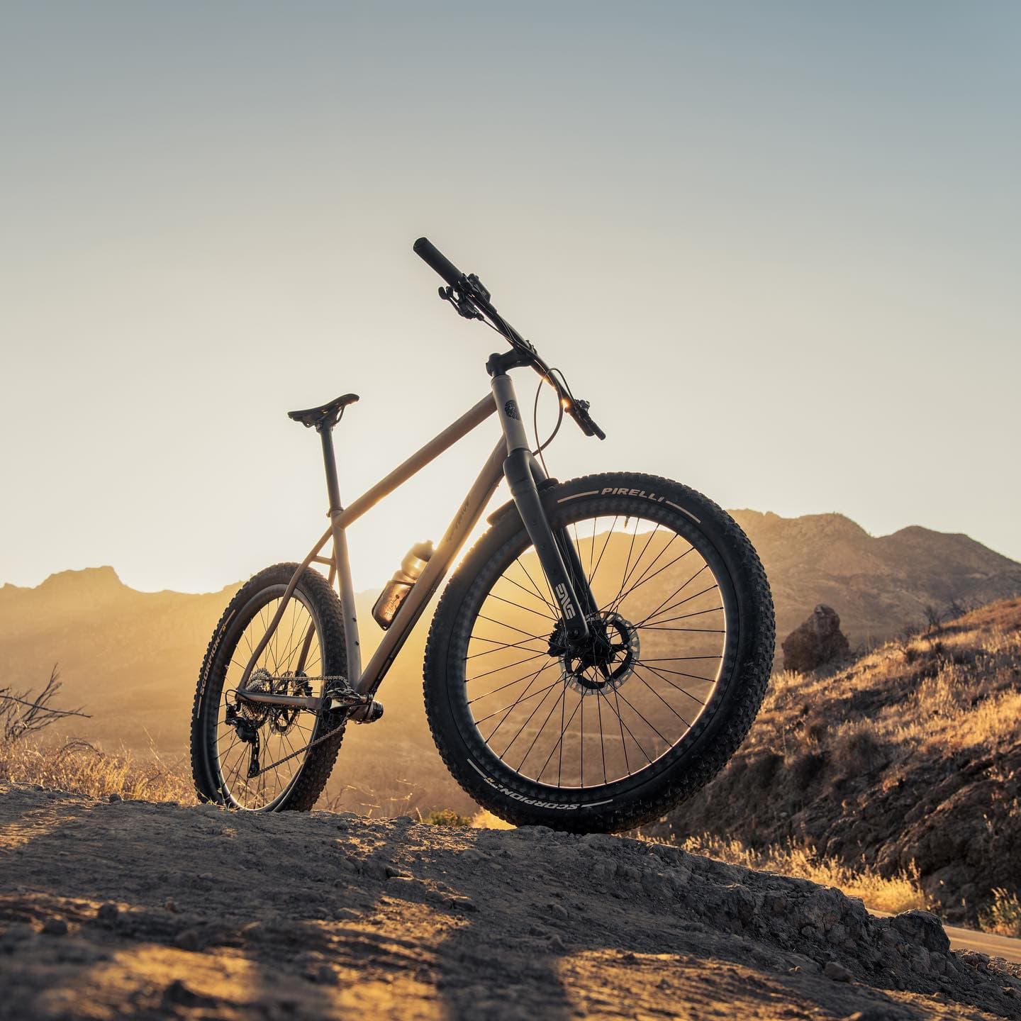 Slug Bicycles 2
