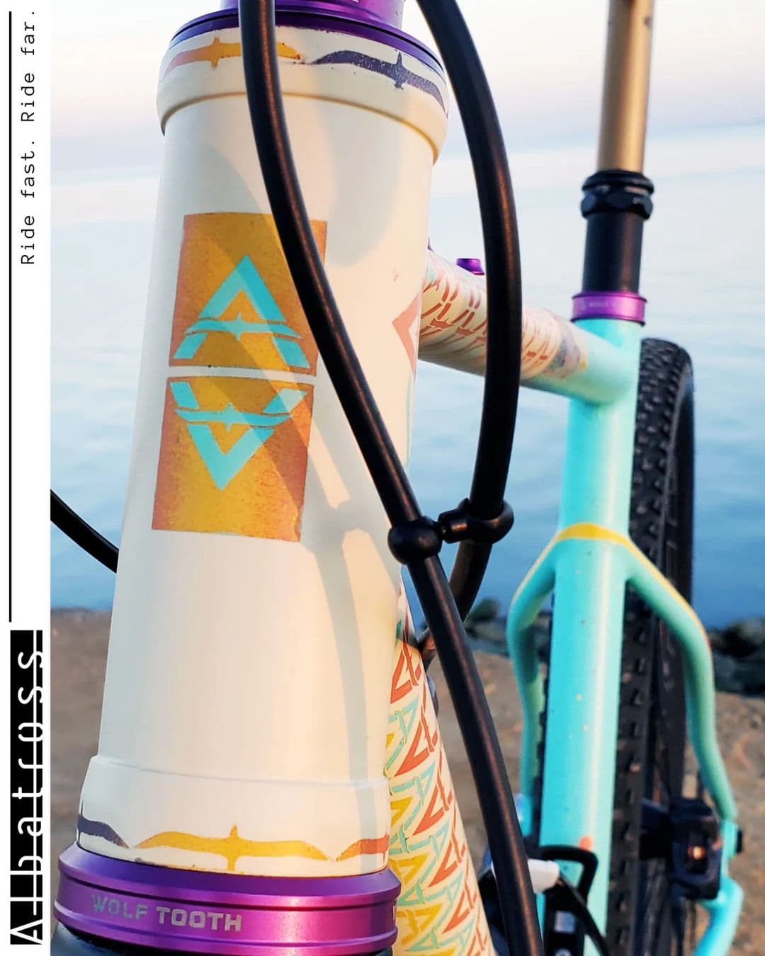 Albatross Bikes 1