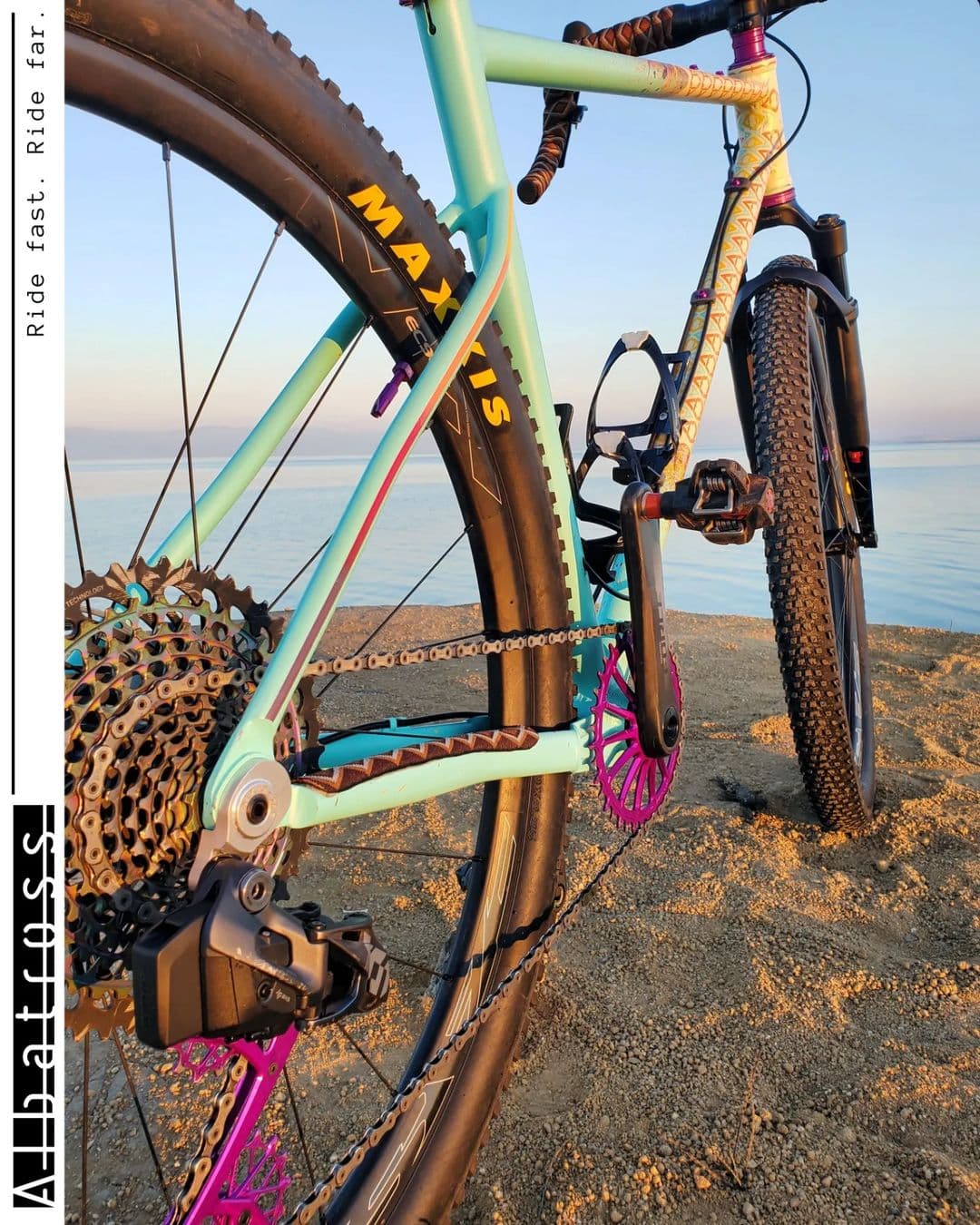 Albatross Bikes 3