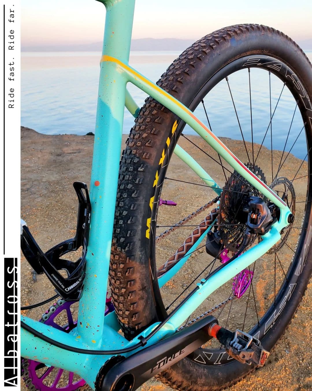 Albatross Bikes 4