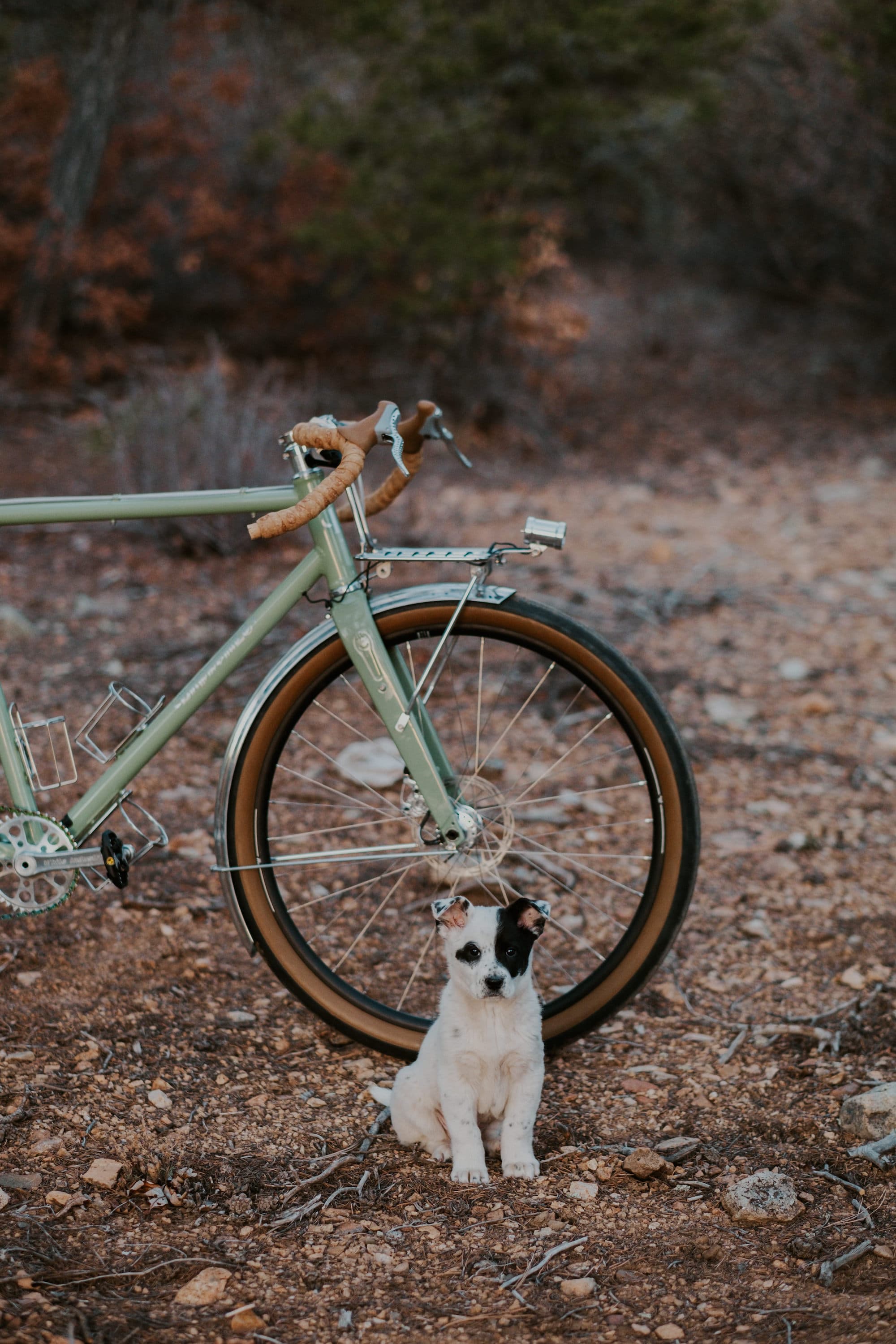 Baphomet Bikes 4