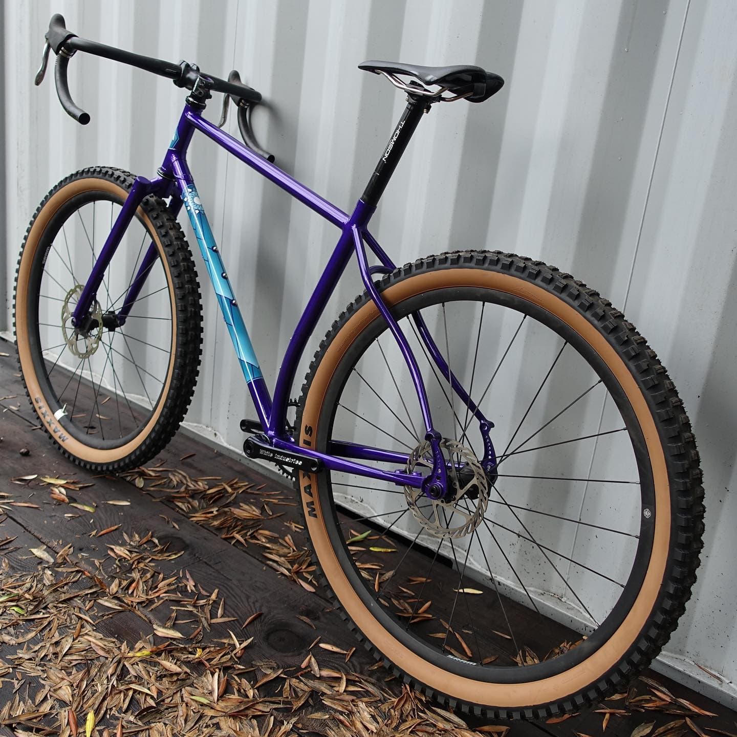 Black Cat Bikes 2