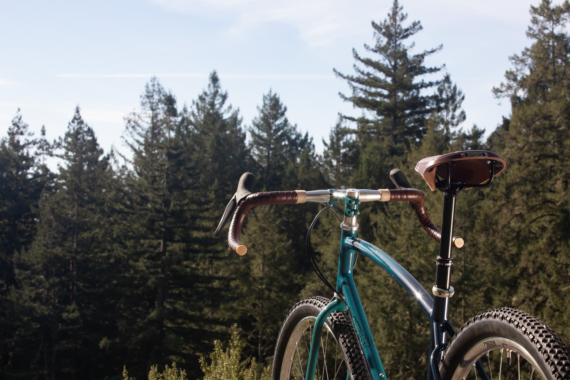 A Black Cat Molino ready to ride!