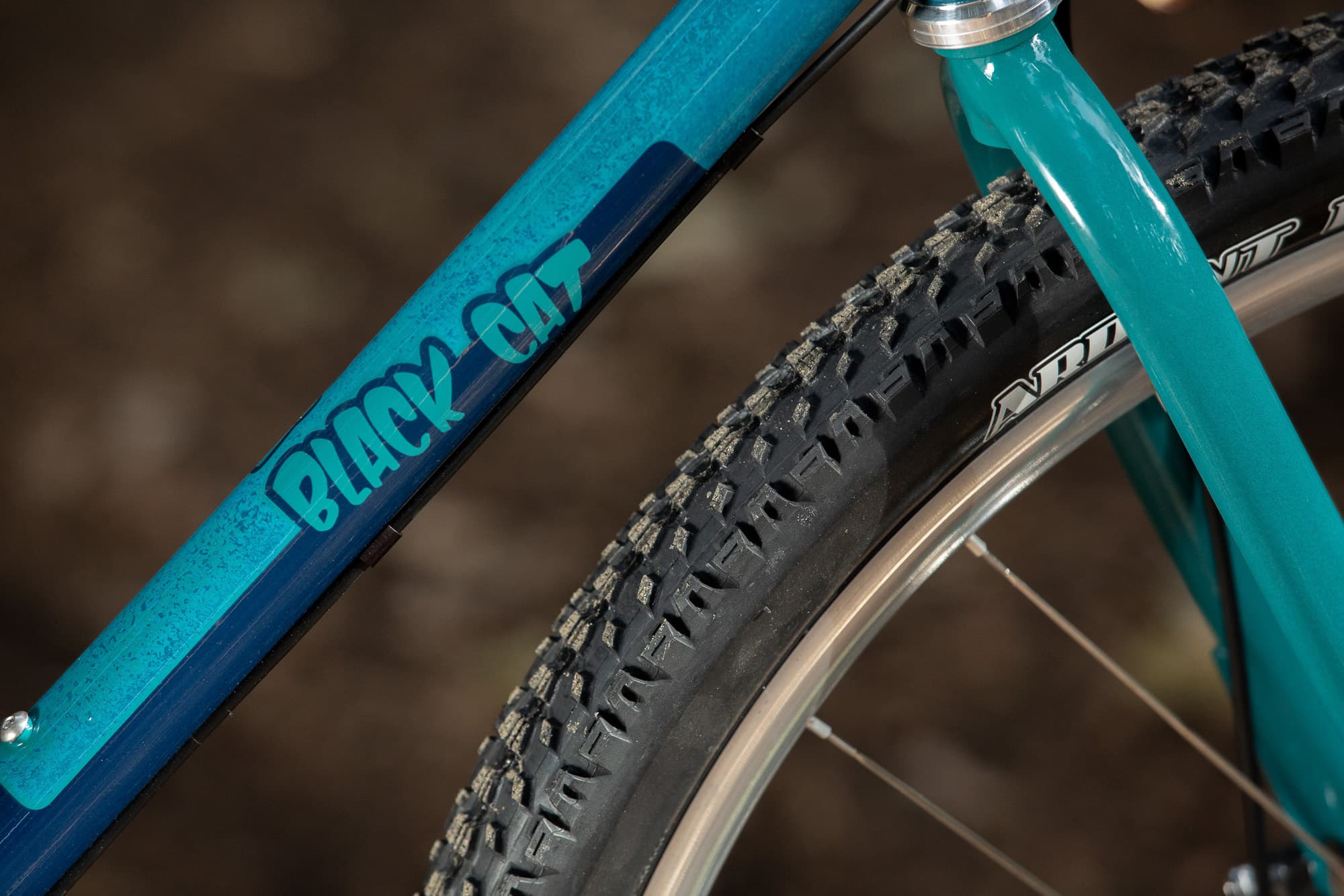 The Black Cat logo on the frame.