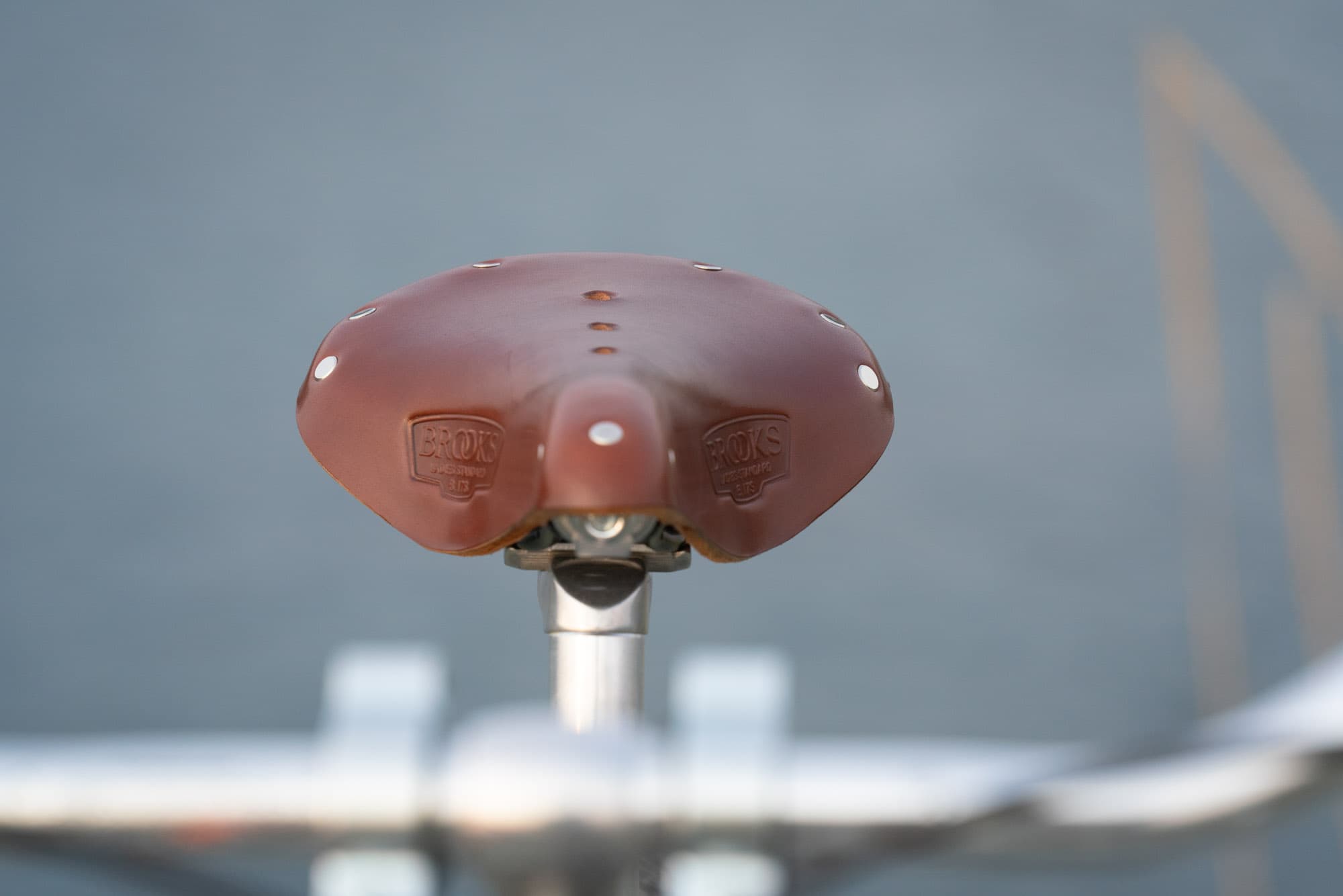 A female b17 brooks saddle.