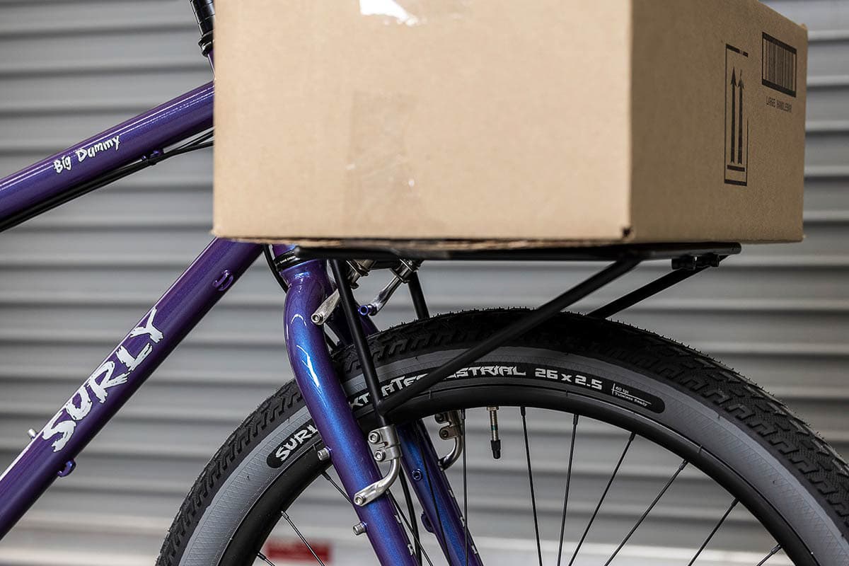 Surly 2