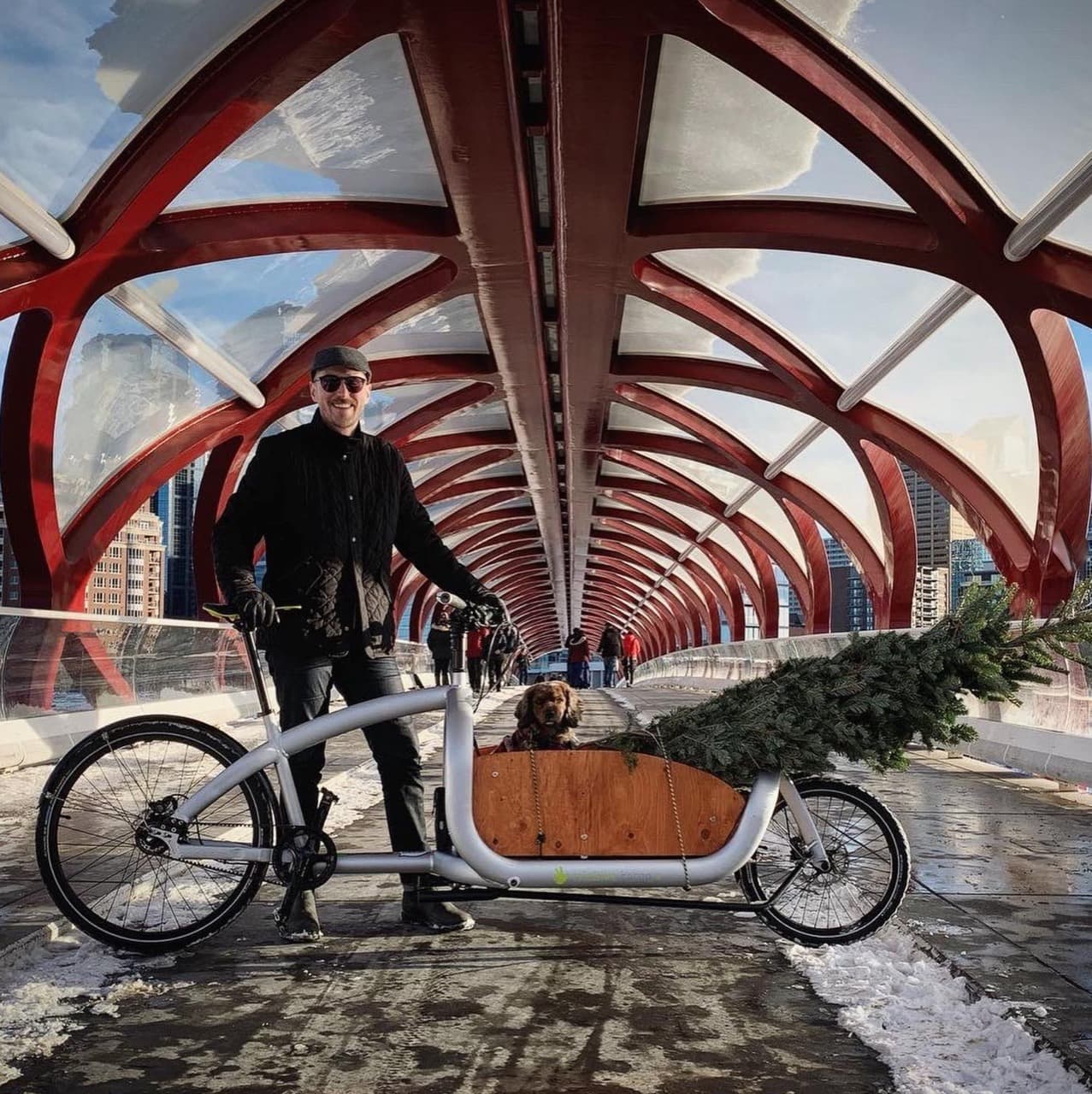 TrioBike 4