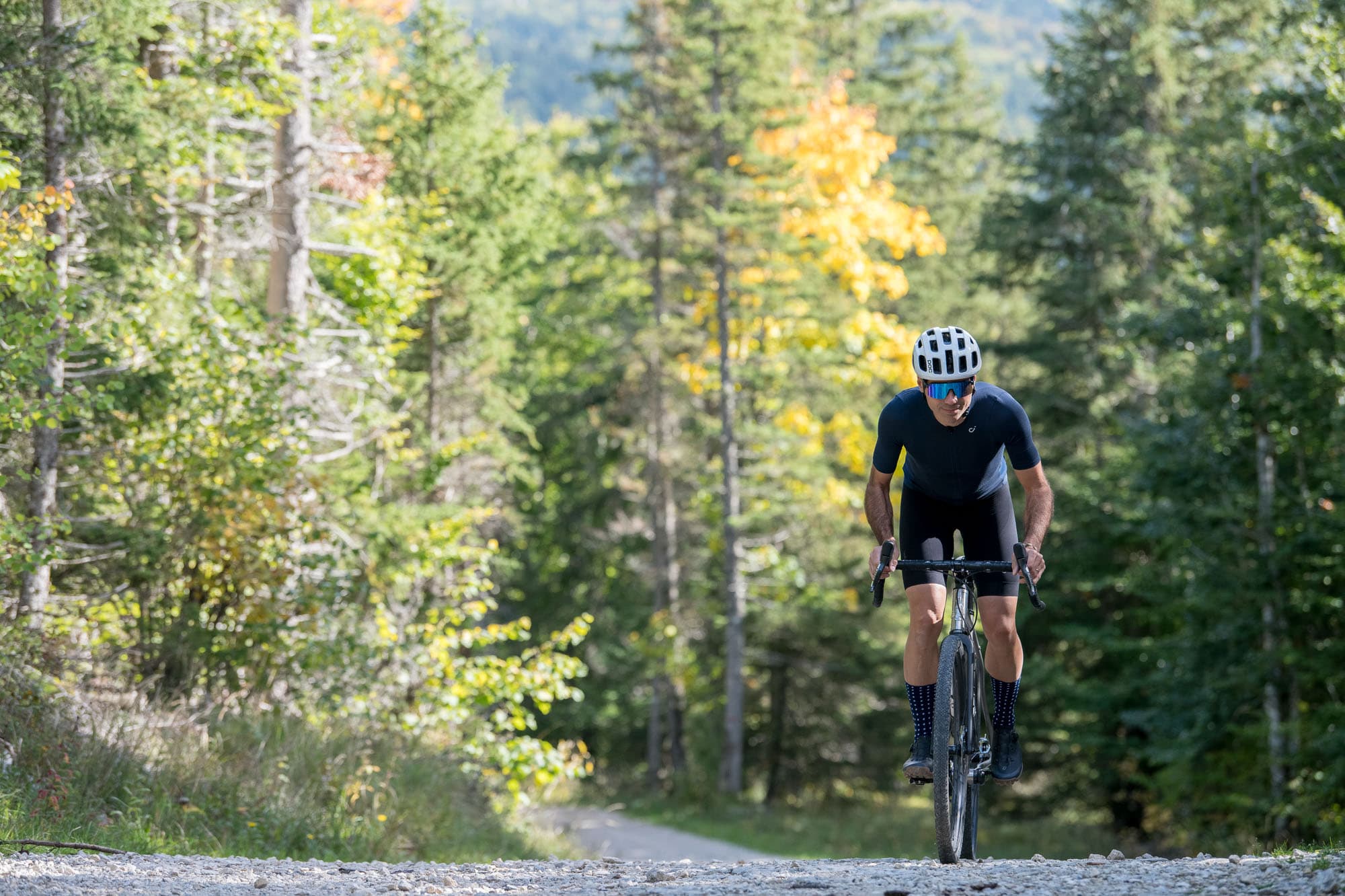 Nicolas and Kevin get lost in the forest.