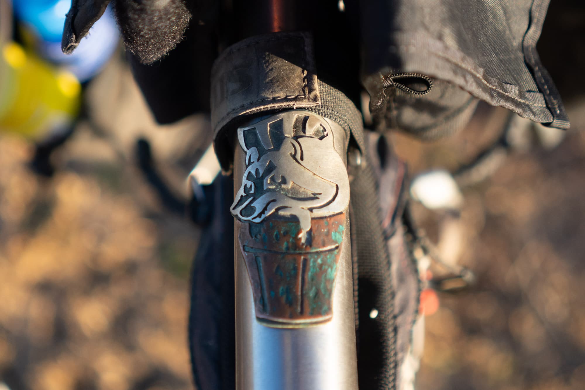 A raccoon badge.