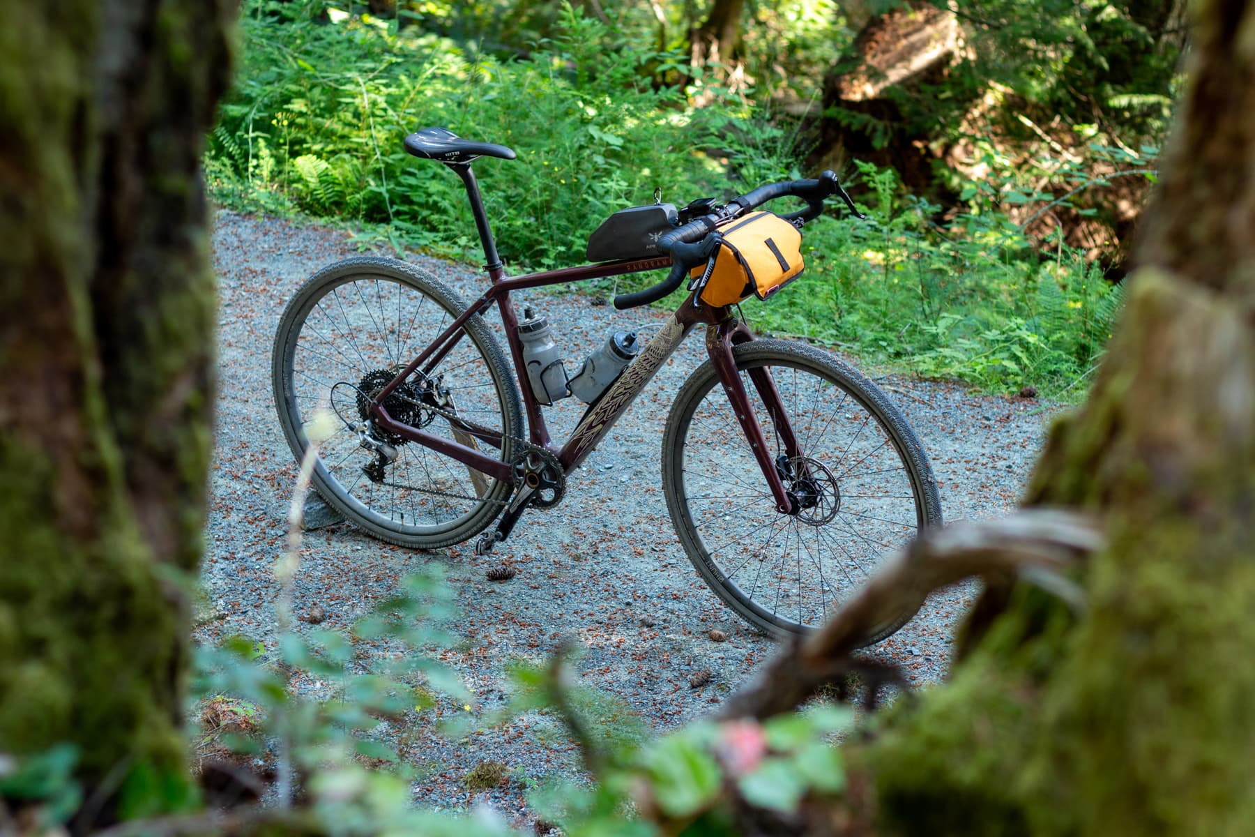 bike through trees