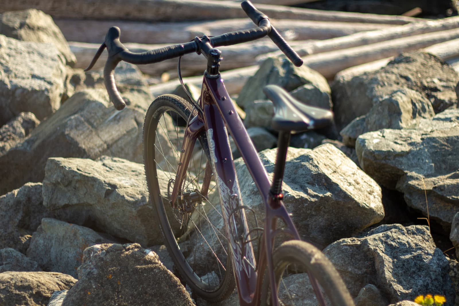 rear view on rocks