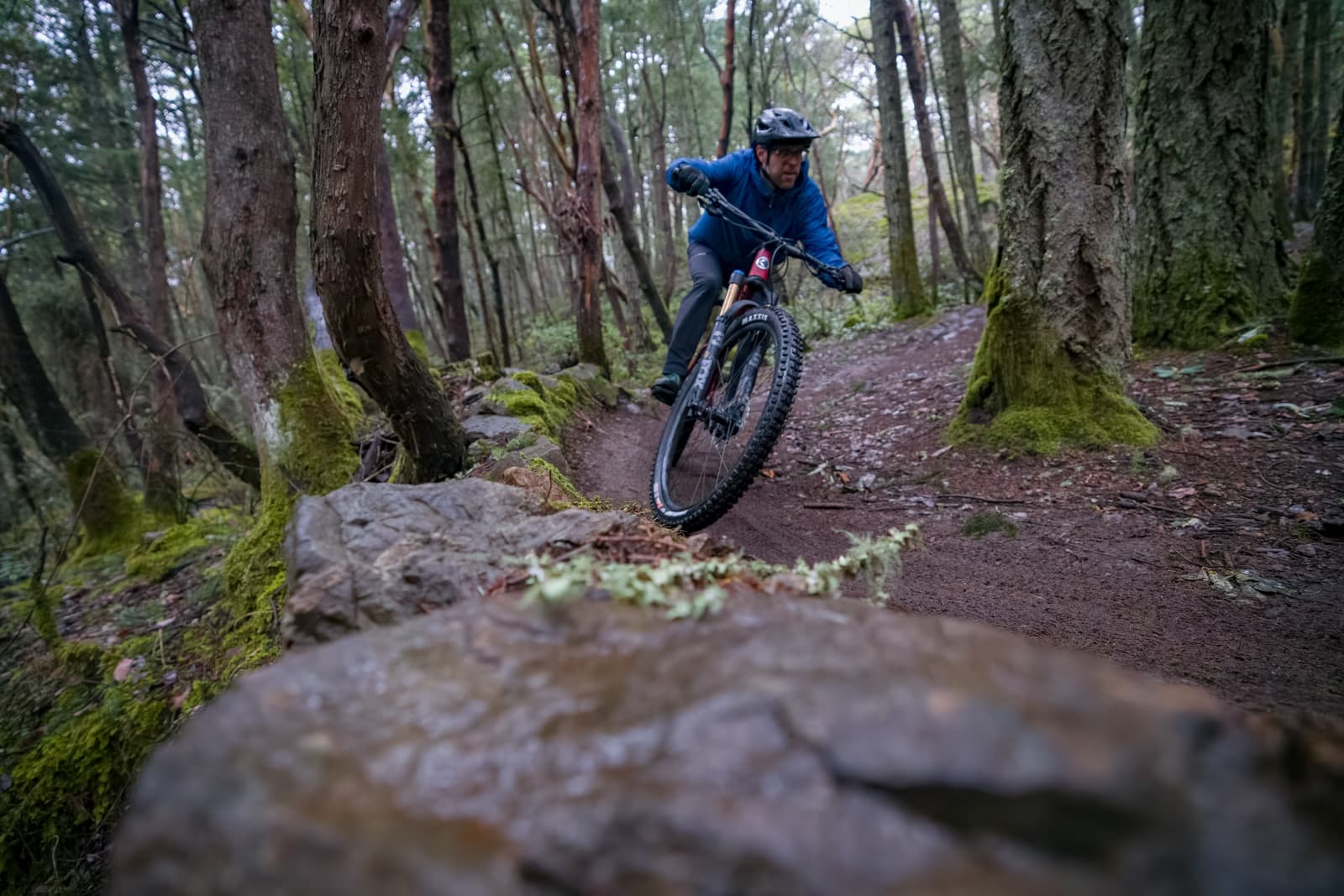 in the berms