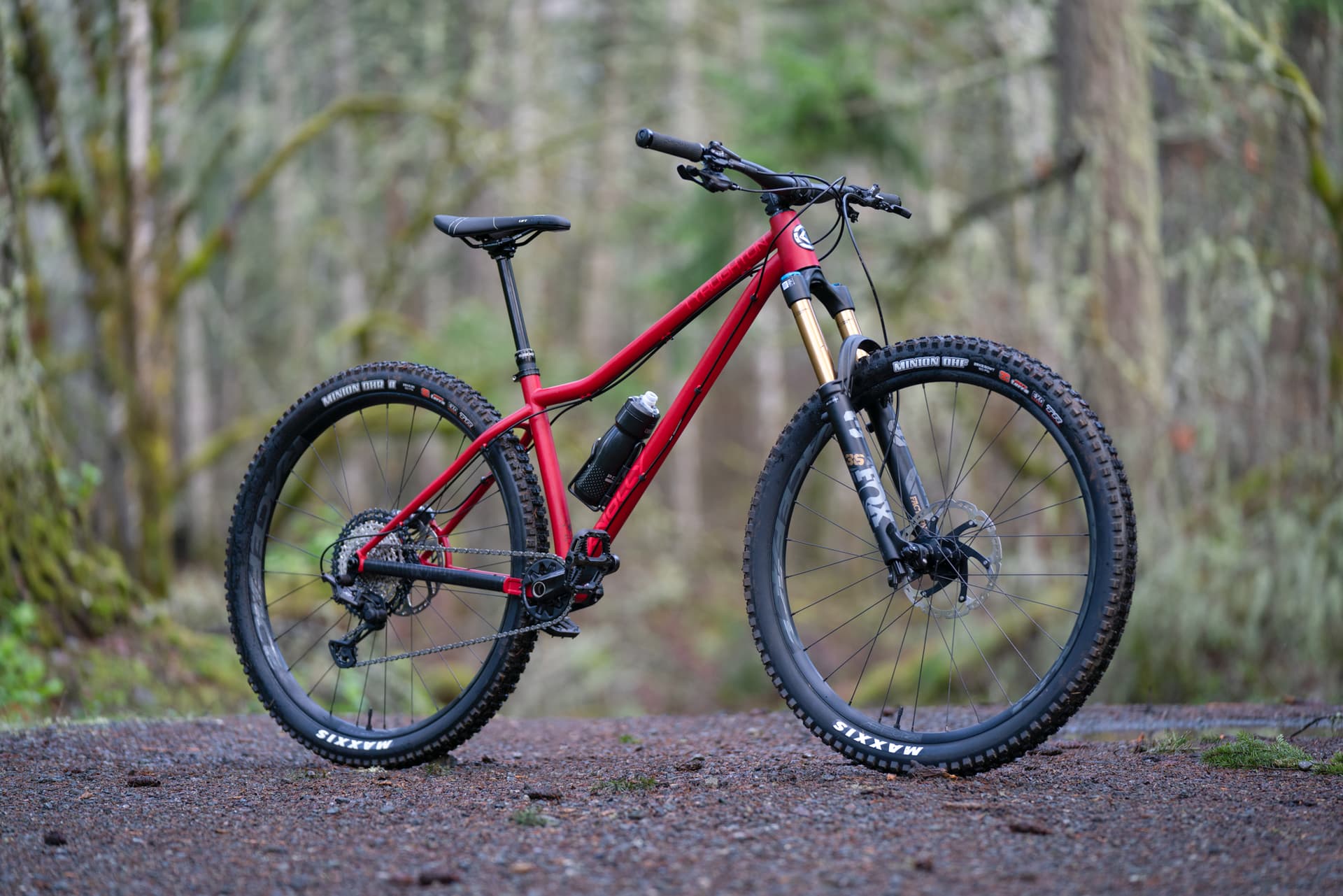 Knolly Tyaughton Review