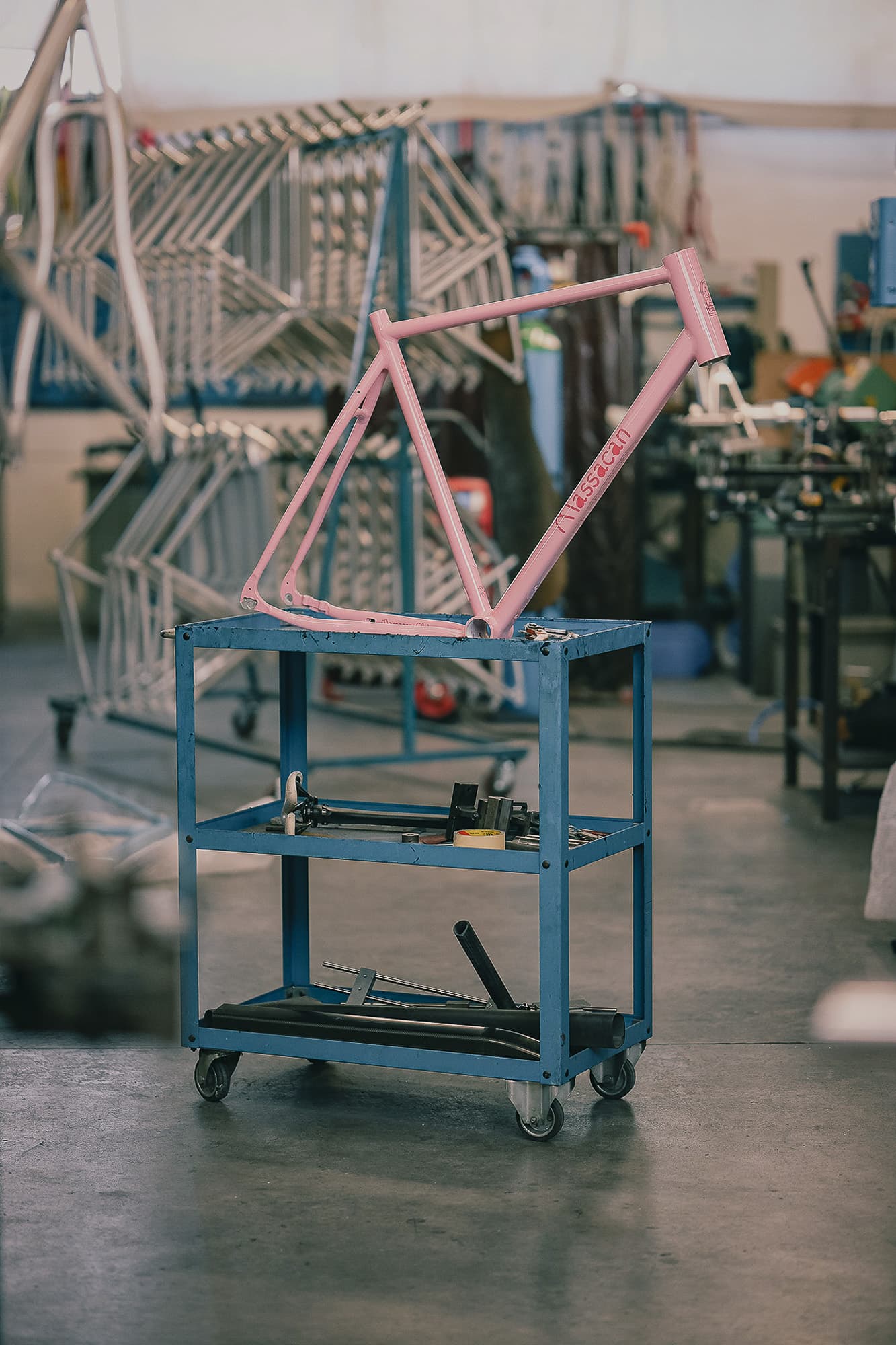 A ponk Paula in the factory.