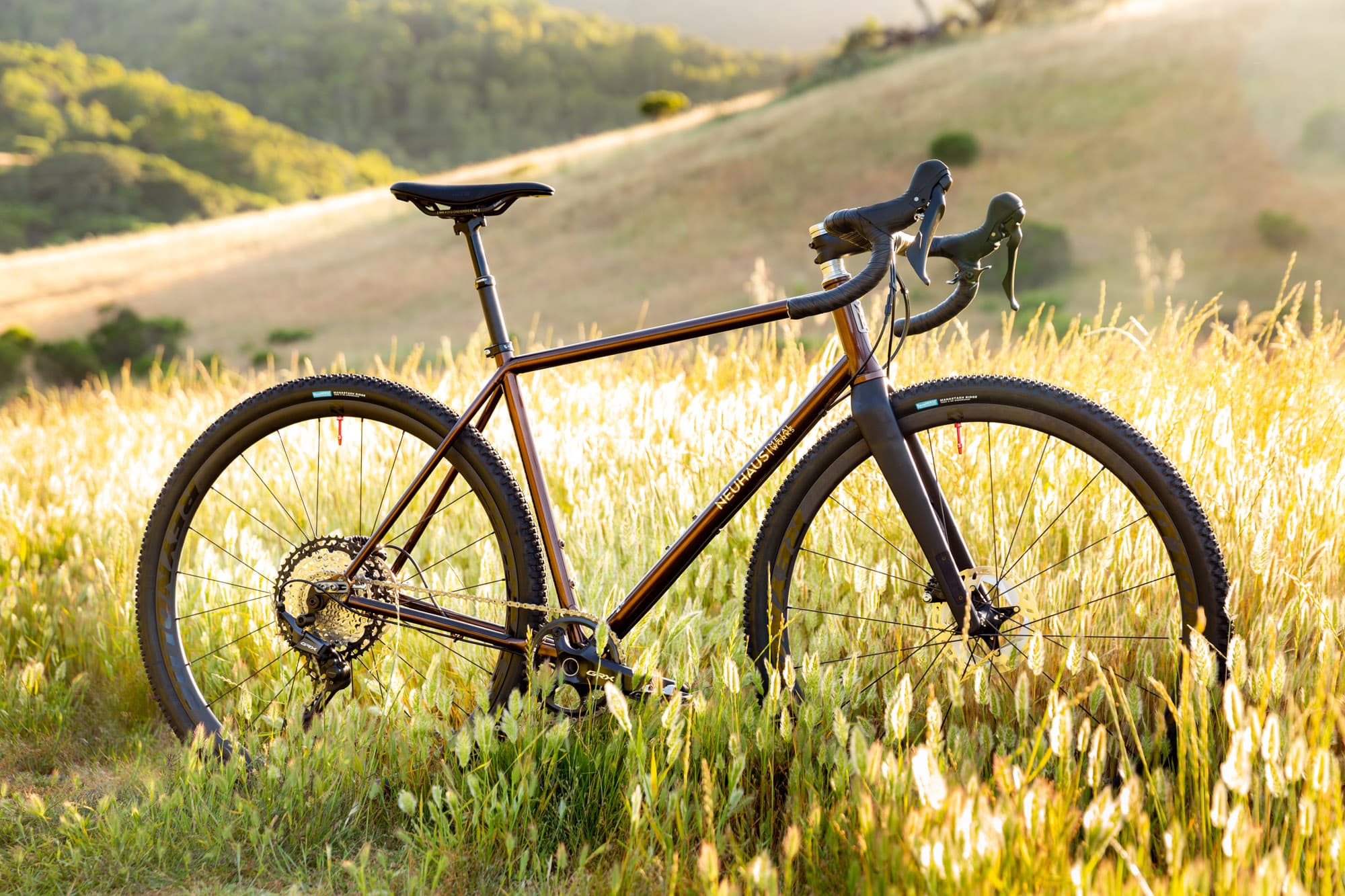 The Solana in the grass.