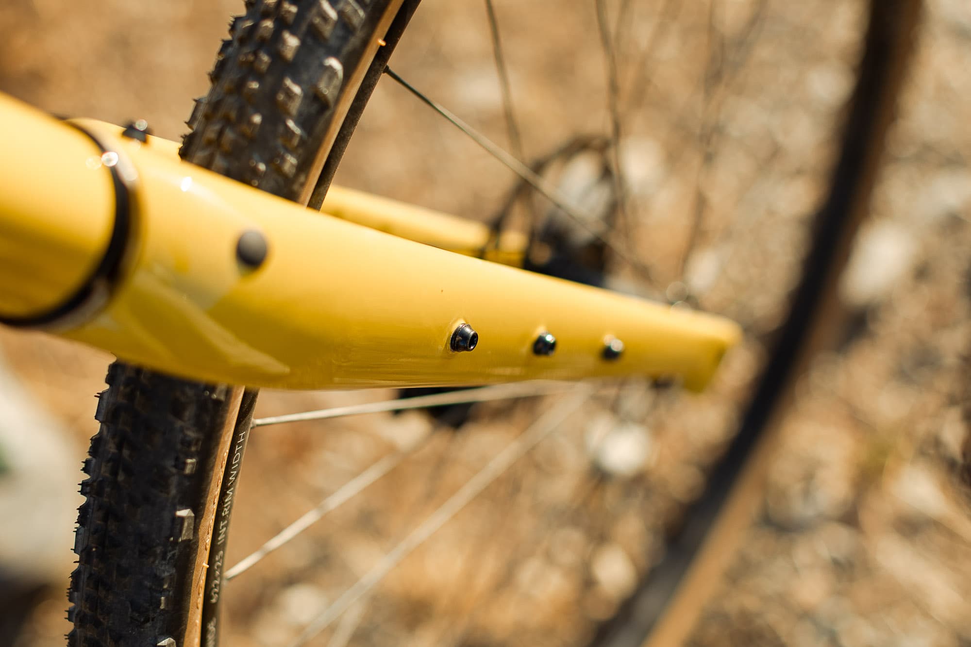 carbon fork