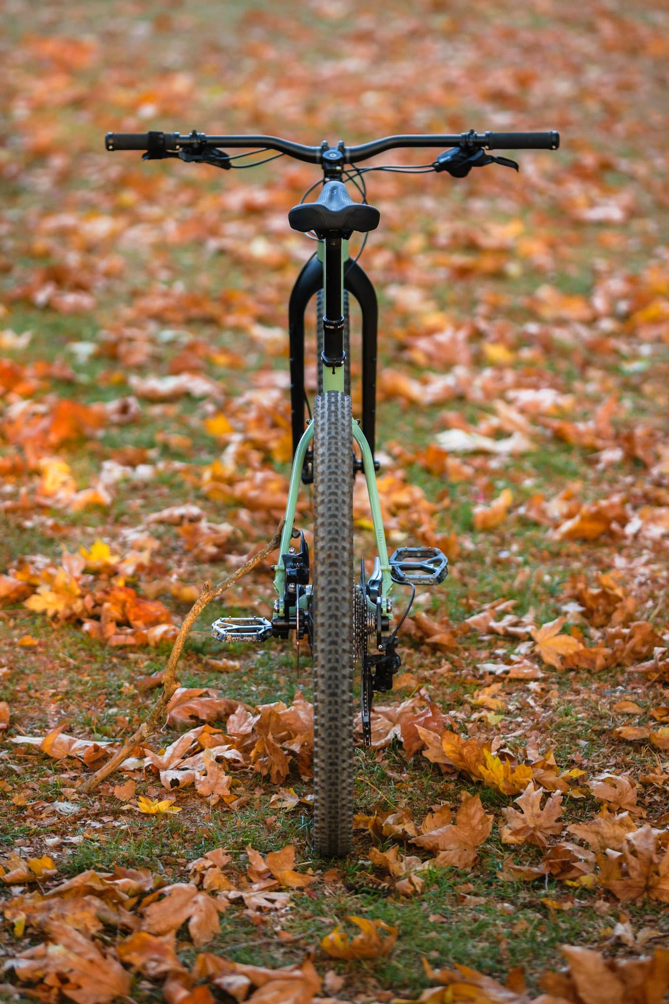 back of bike