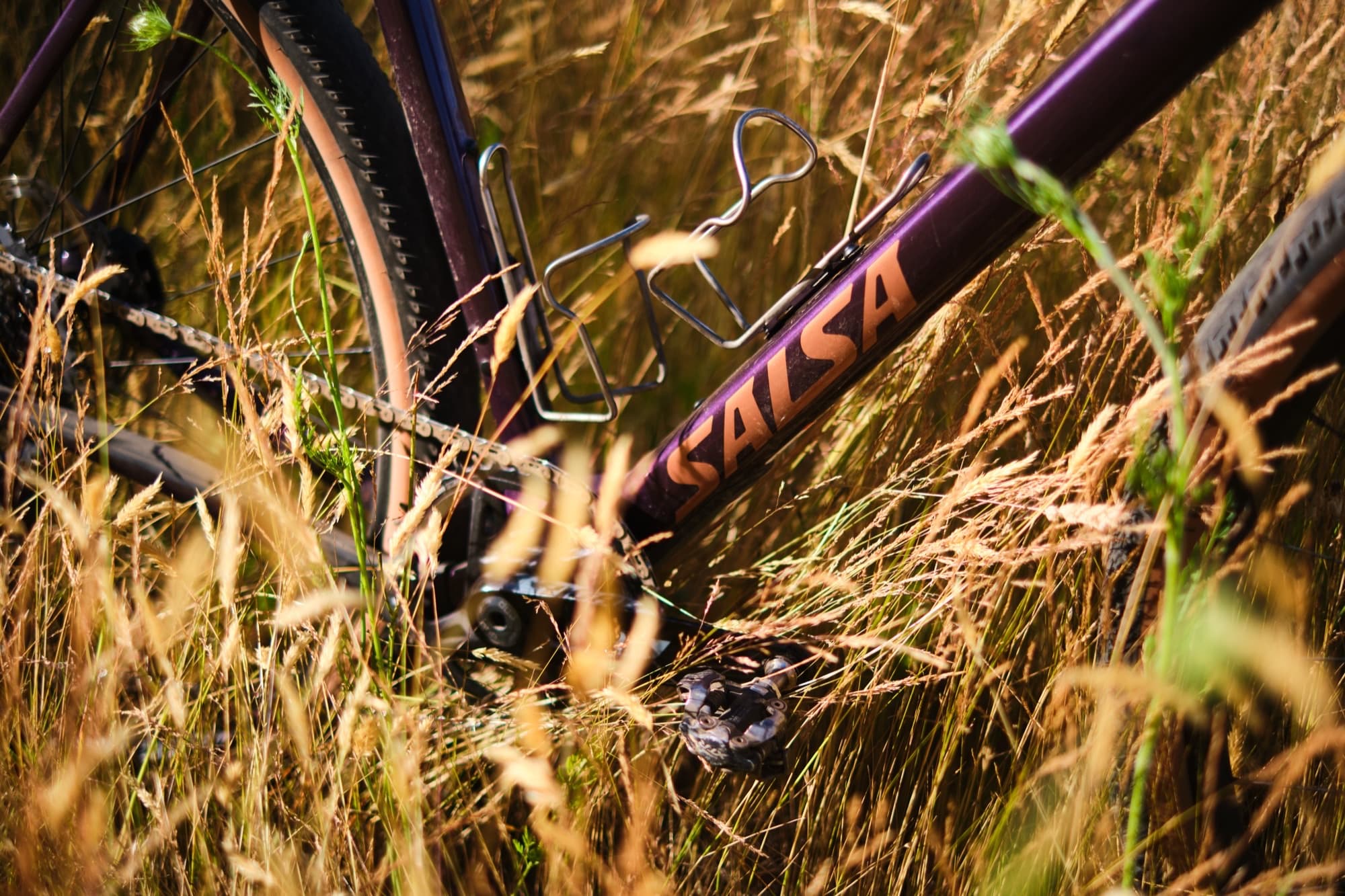 The Salsa script on the down tube, half-buried in summer grass