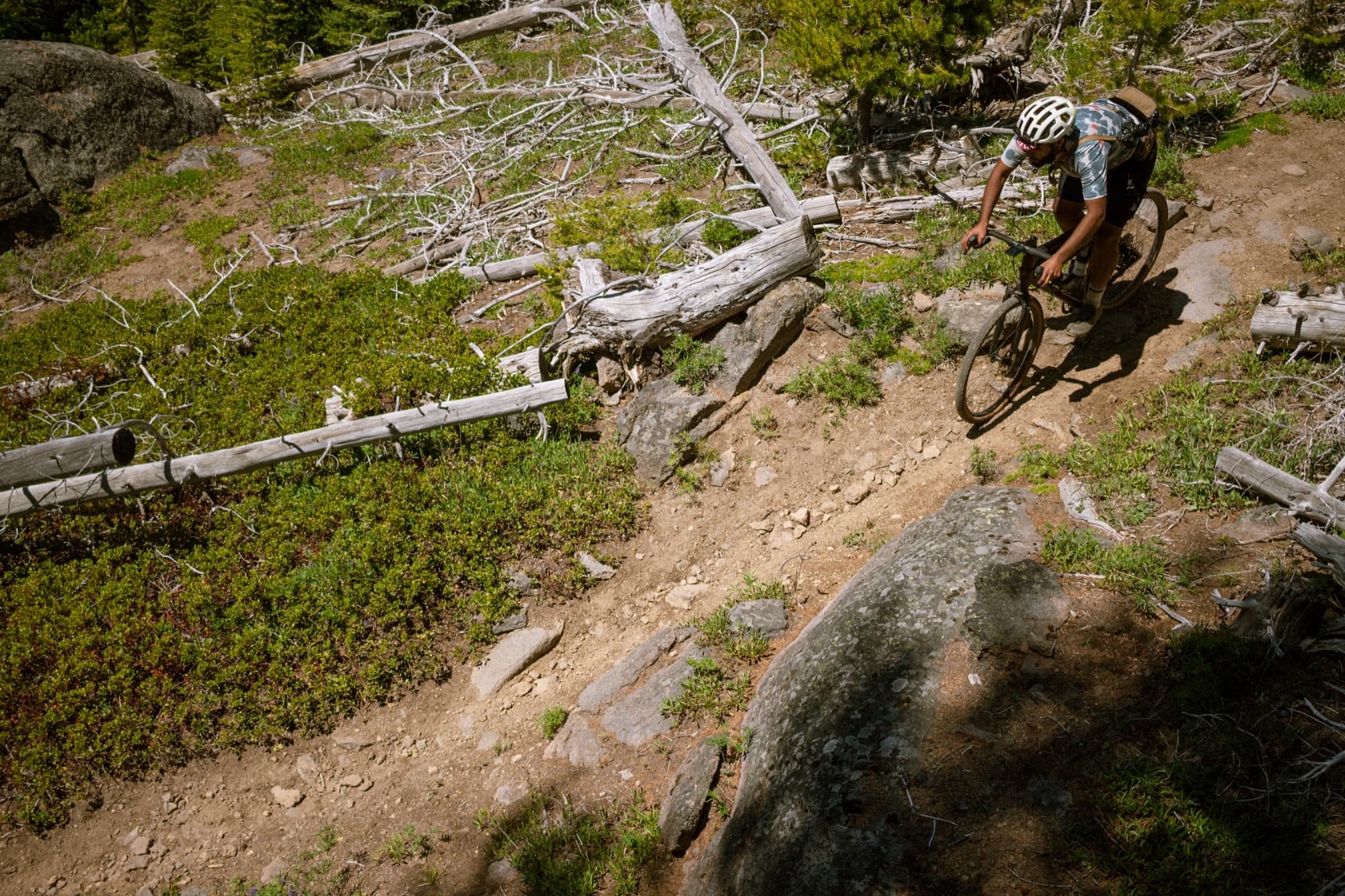 A bird's-eye look at picking a line through blown-down timber