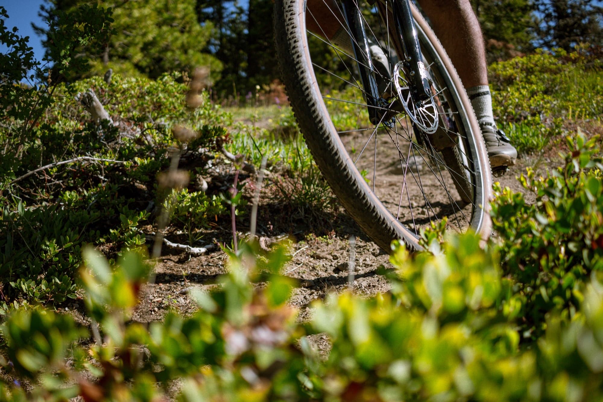 A low, dusty angle on the rear wheel mid-trail
