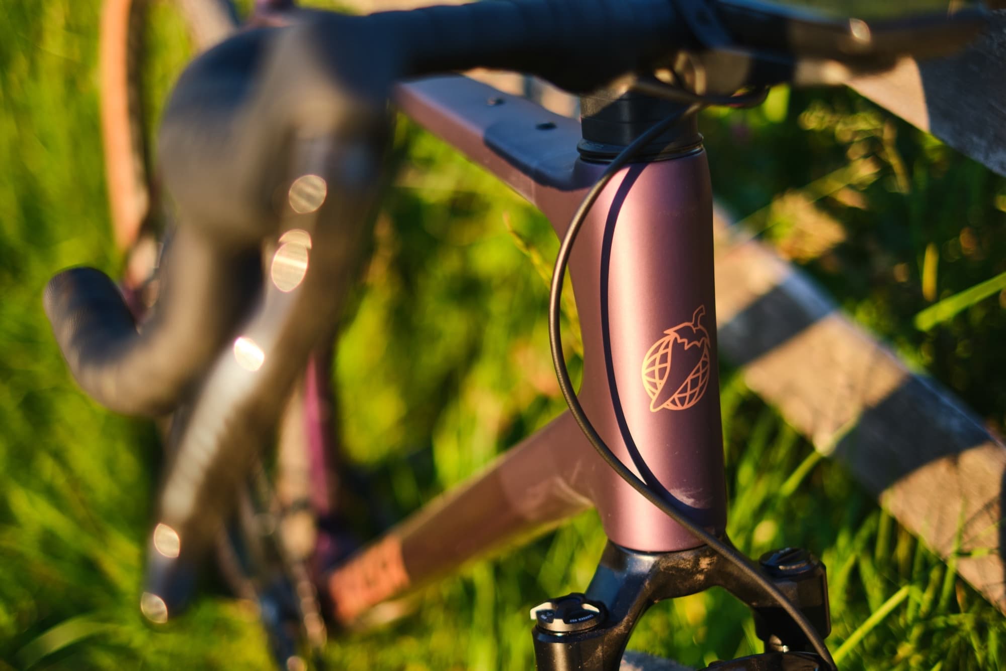 The globe head badge catching golden hour light