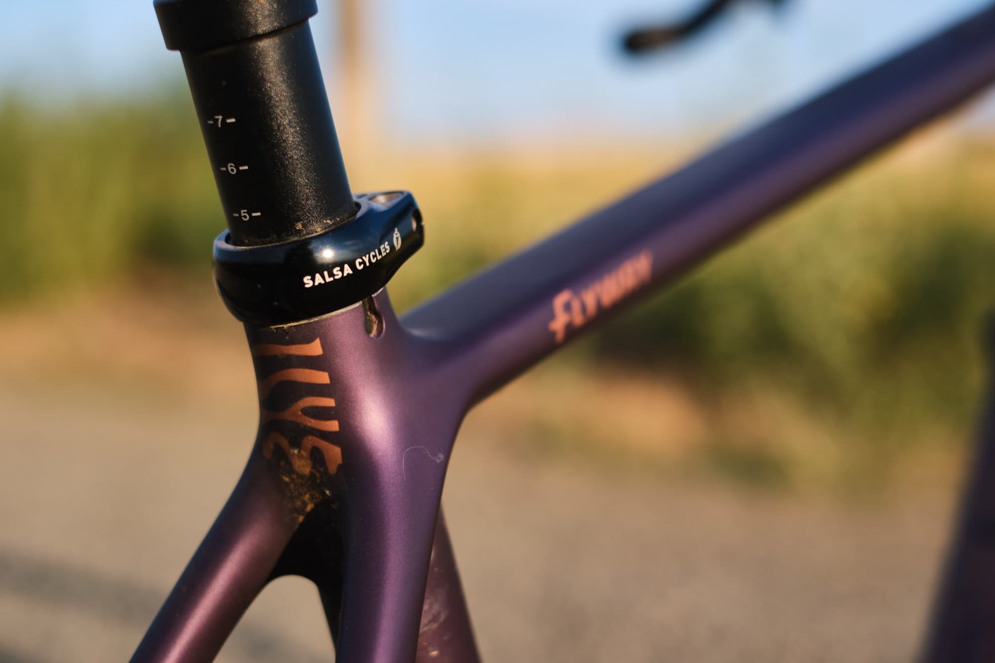 Flyway script on the headtube in warm evening light