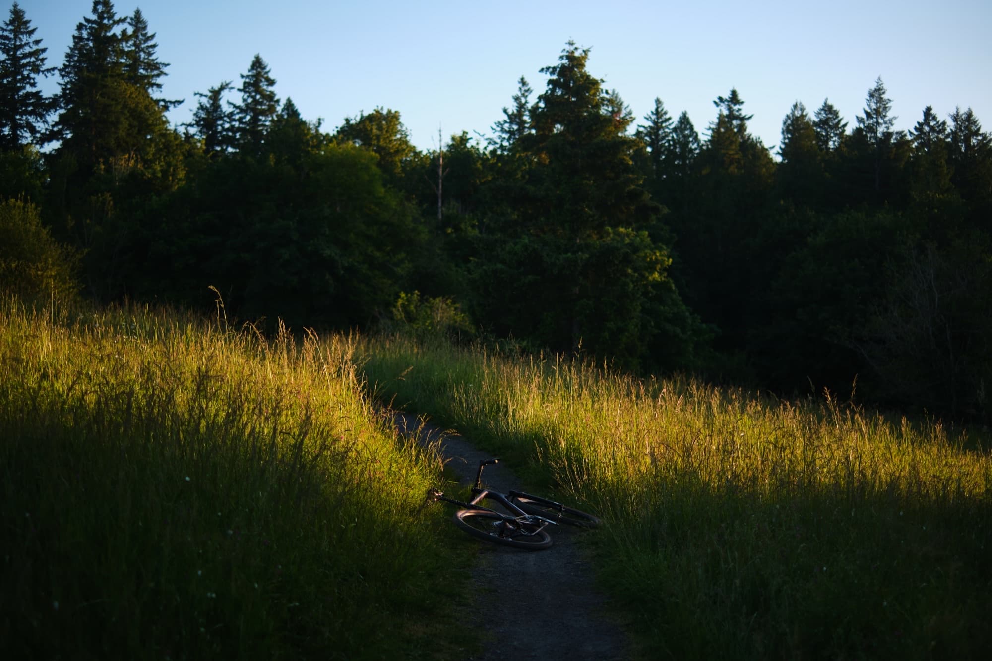 Laid down on a shaded gravel path at last light