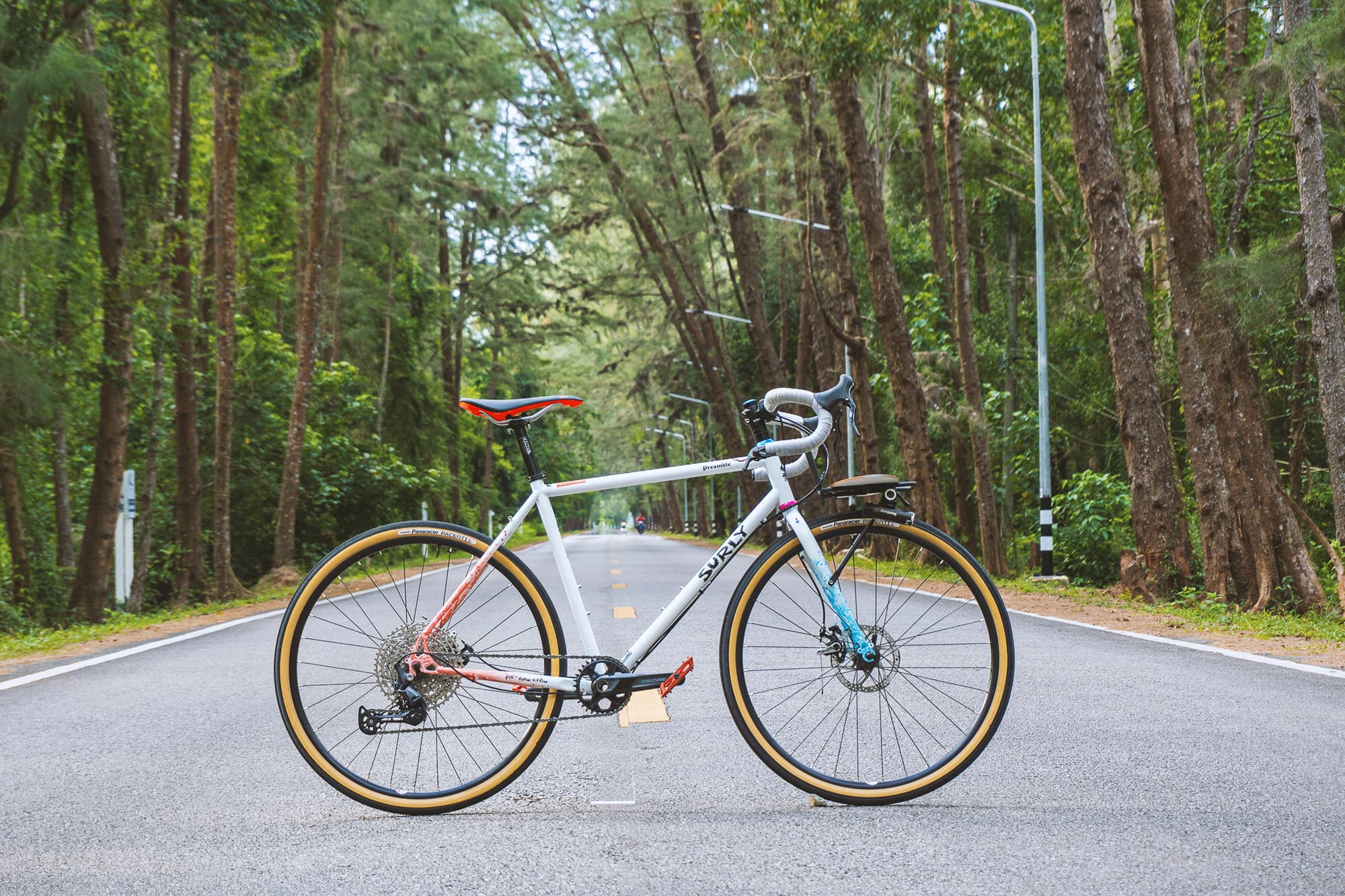 The Surly Preamble on a road in Thailand.