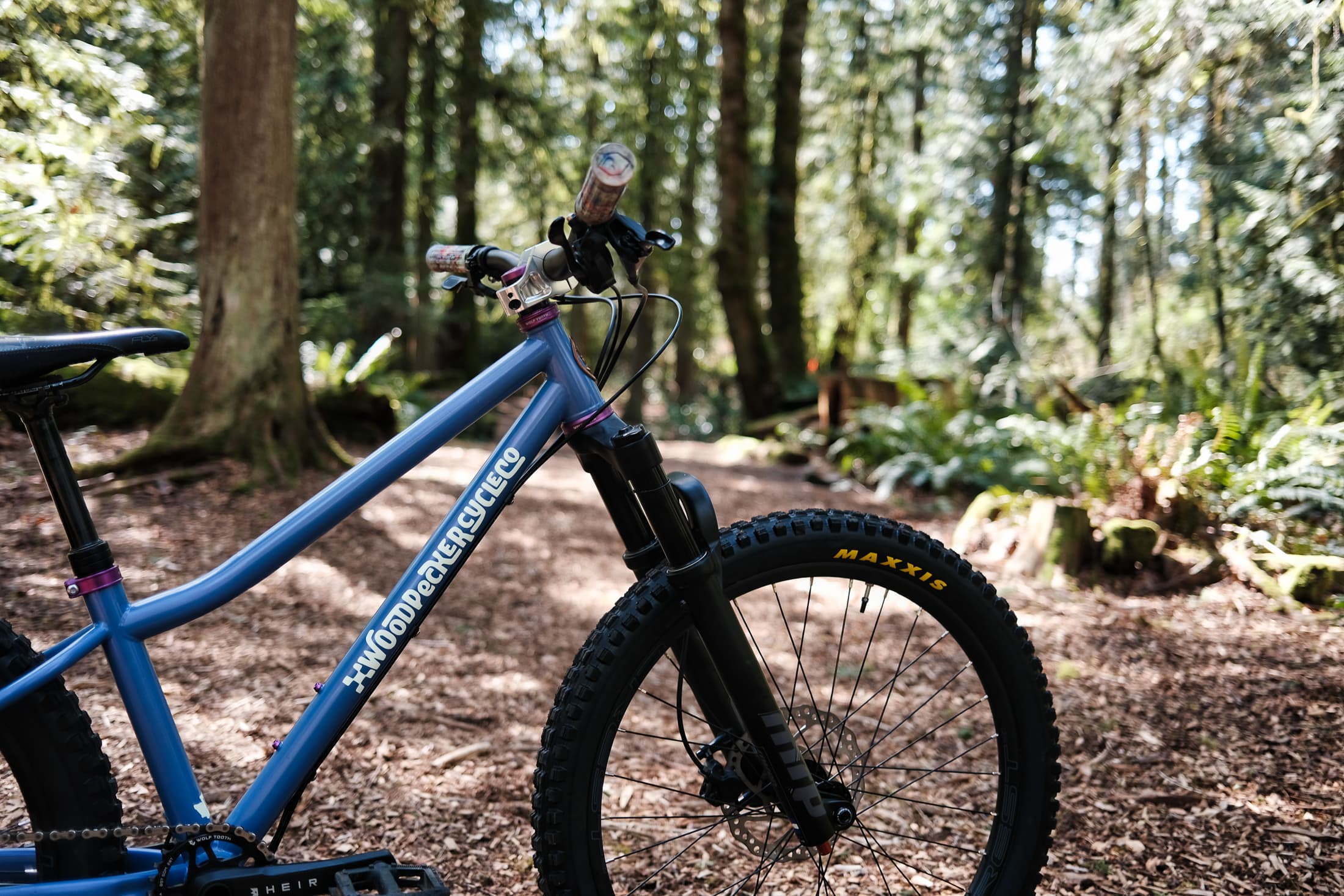 front in forest