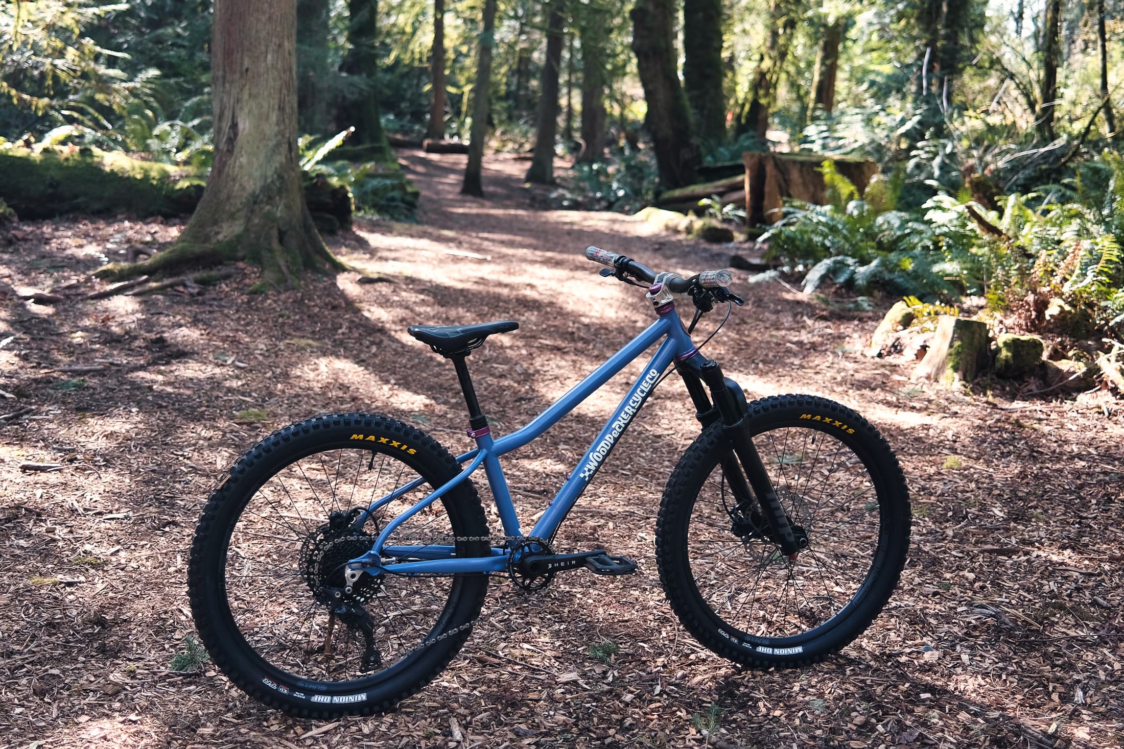 lil bill in forest