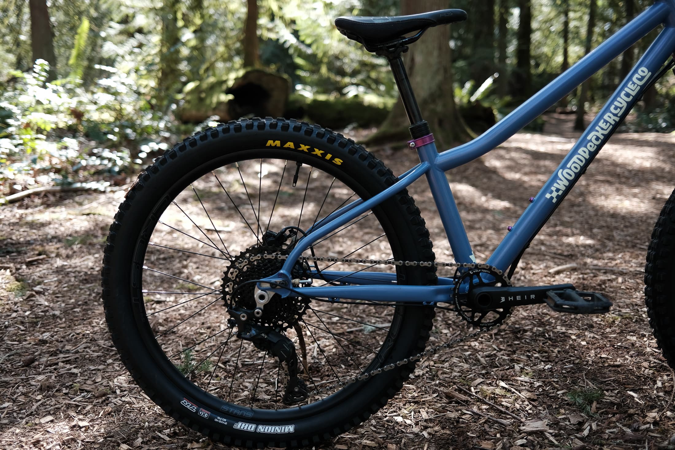 rear end in forest