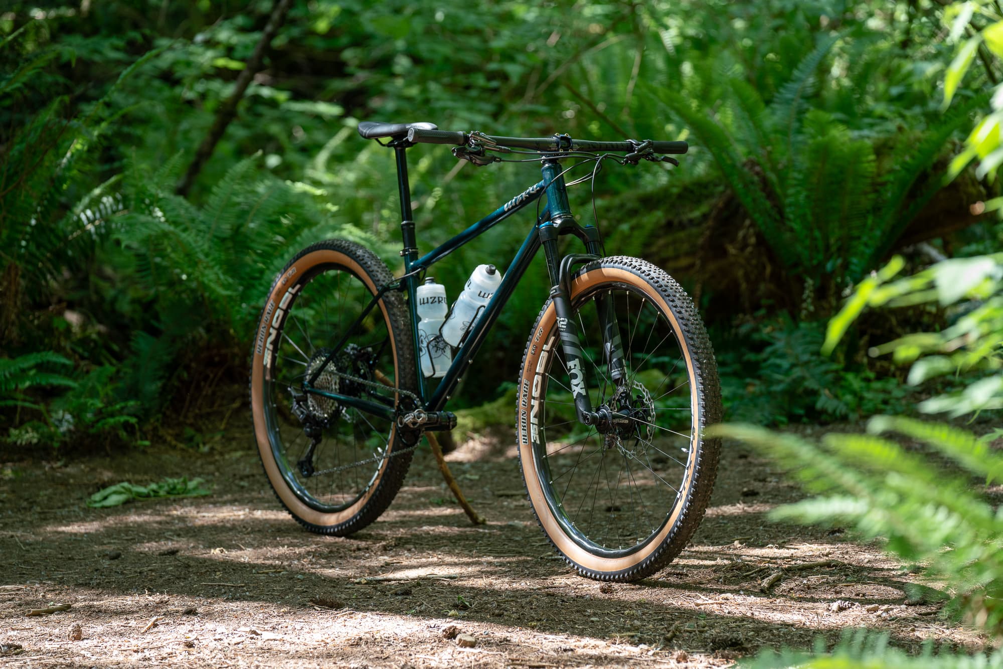 bike in ferns