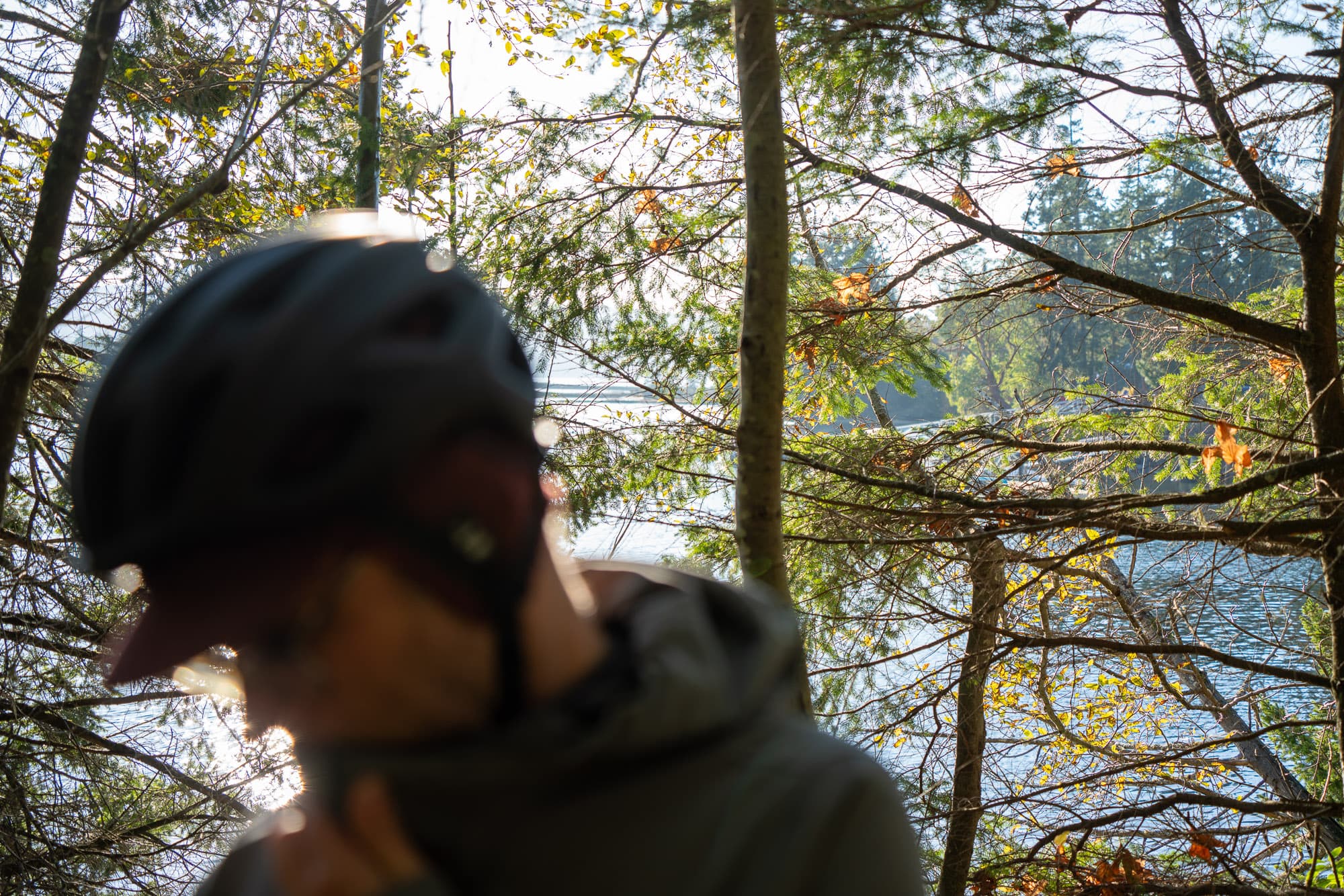 A blurry shot of the local surroundings.