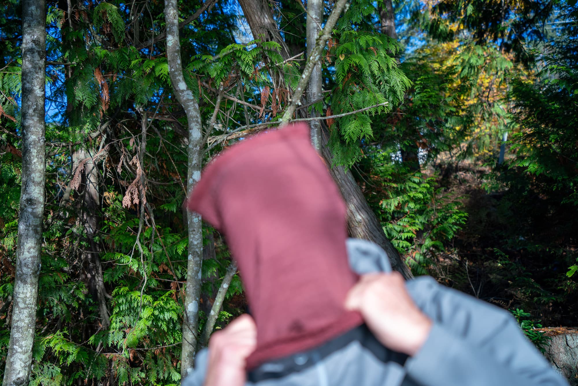 Stretch it like a turtle.