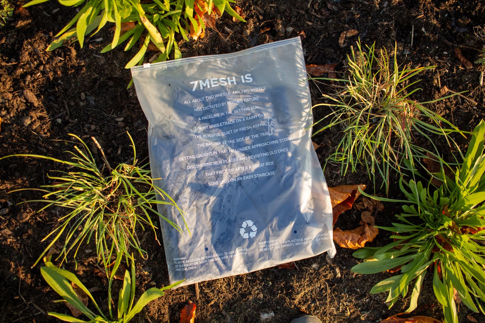 packagin rear