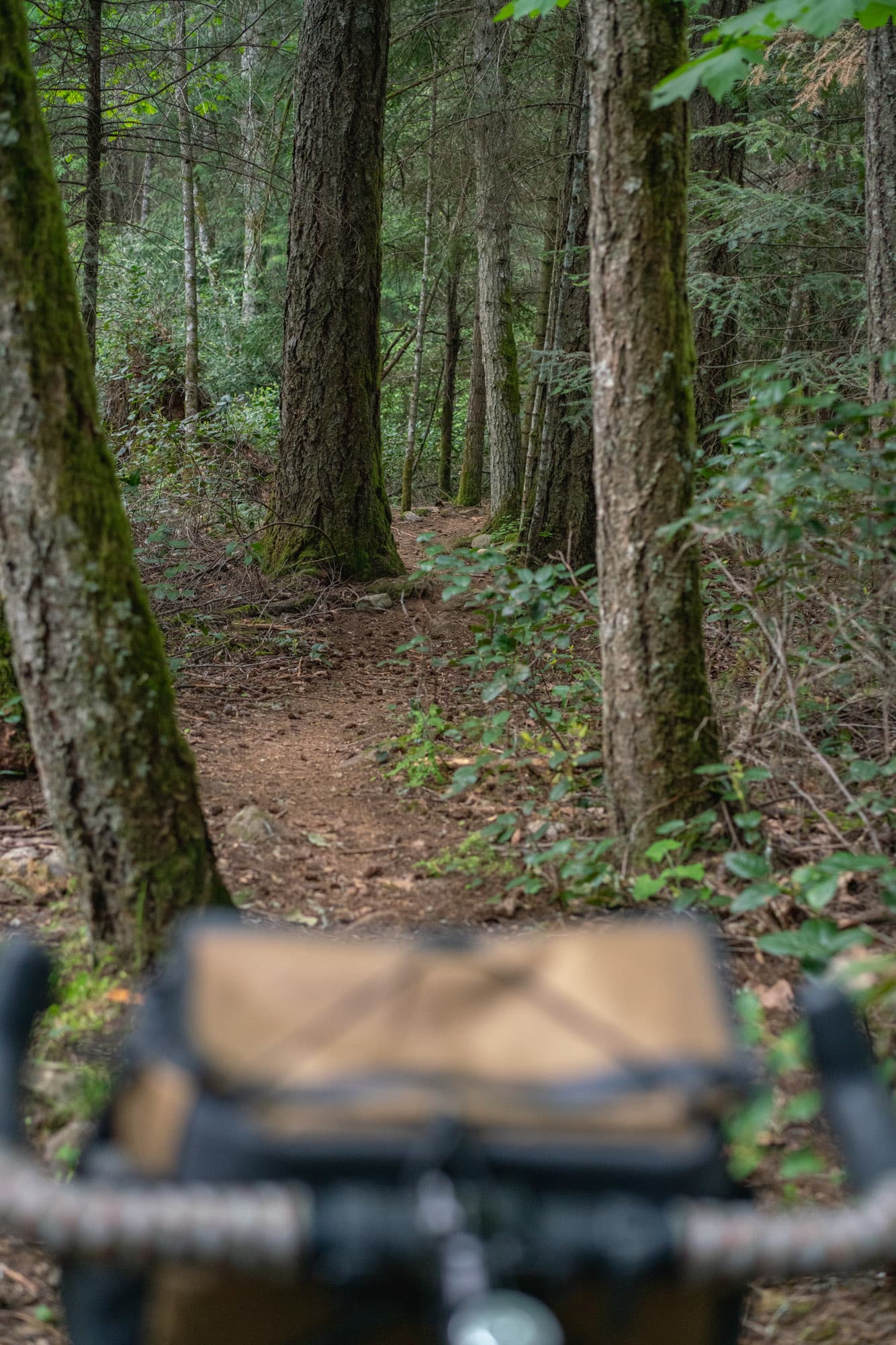 The OCT Bag stares down some singletrack.