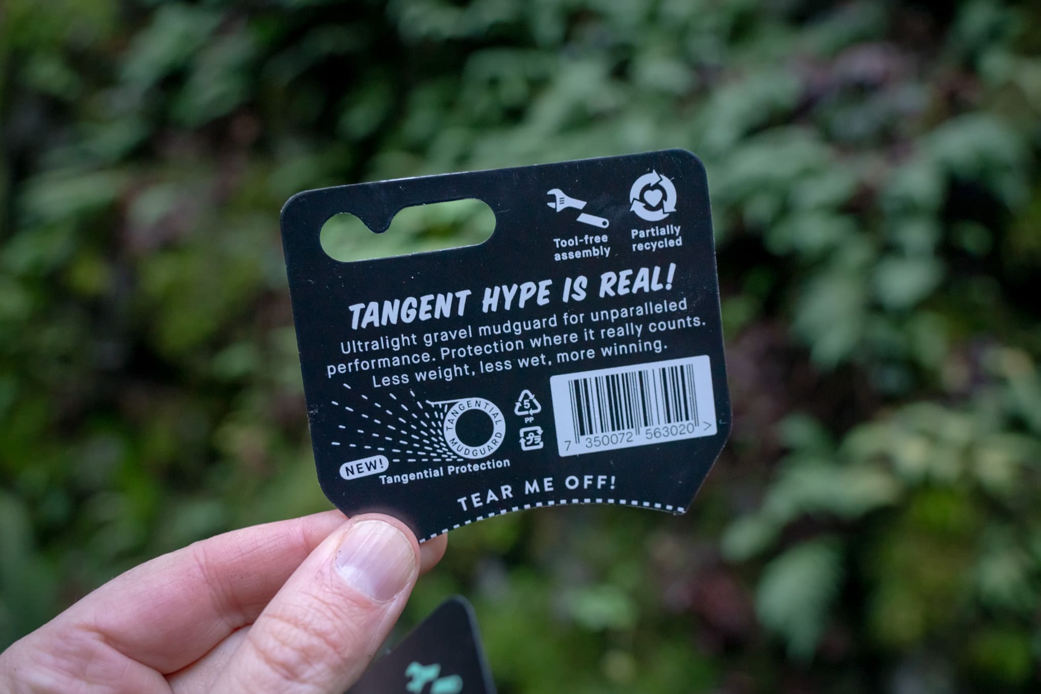 The Win Wing tag rear.