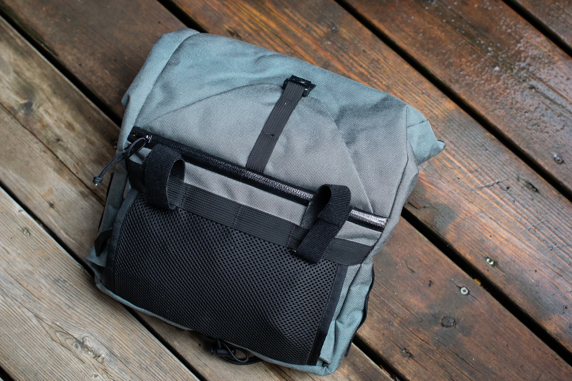 scavenger back