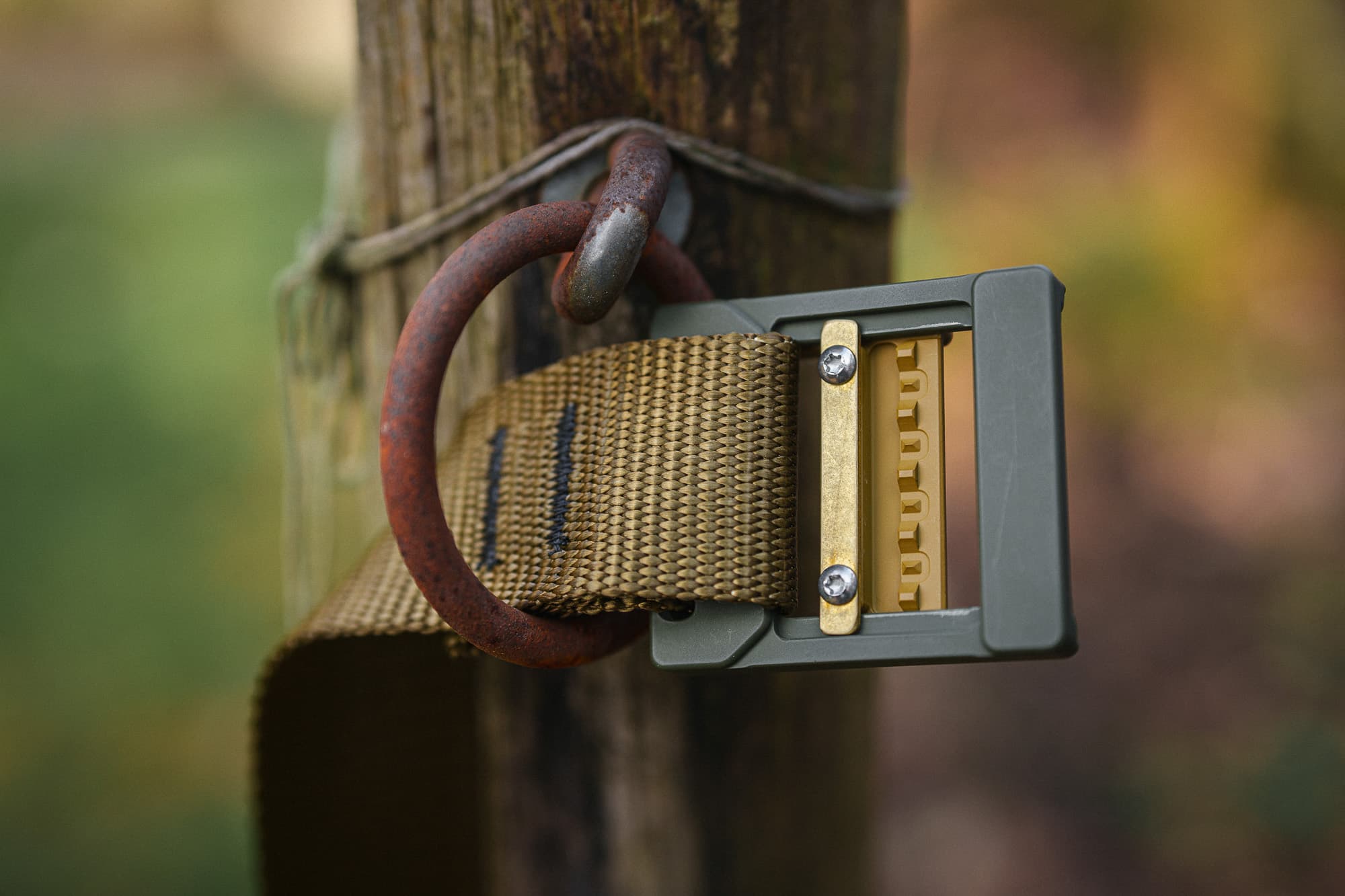 A close up on the rear of the buckle.