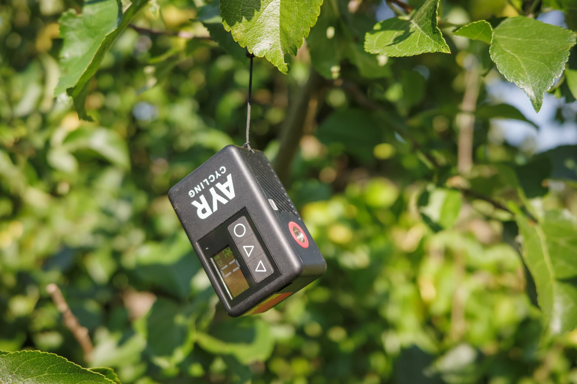 The AYR Electric Pump in a tree.