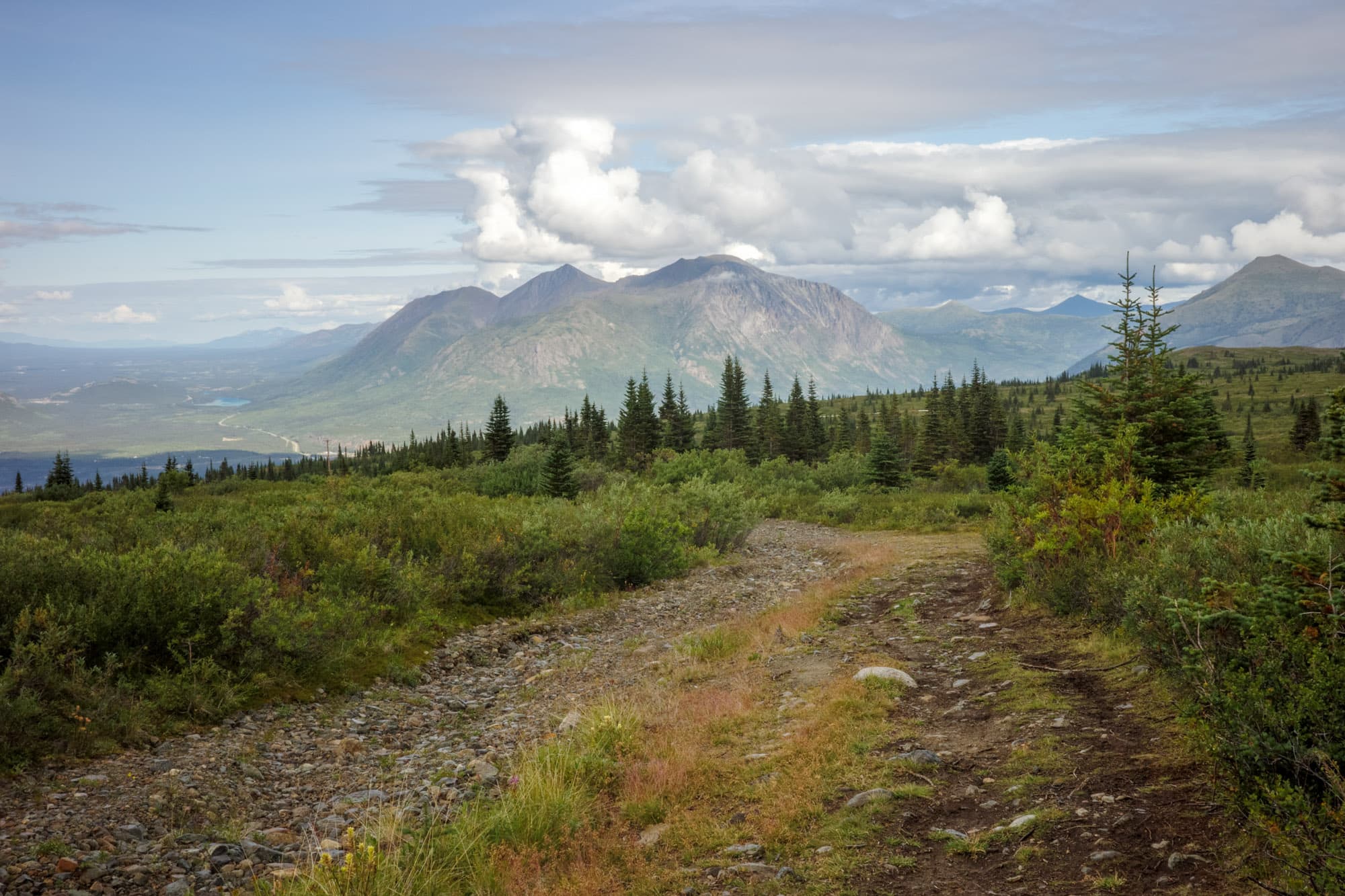 A mountain bike track in the Yukon.