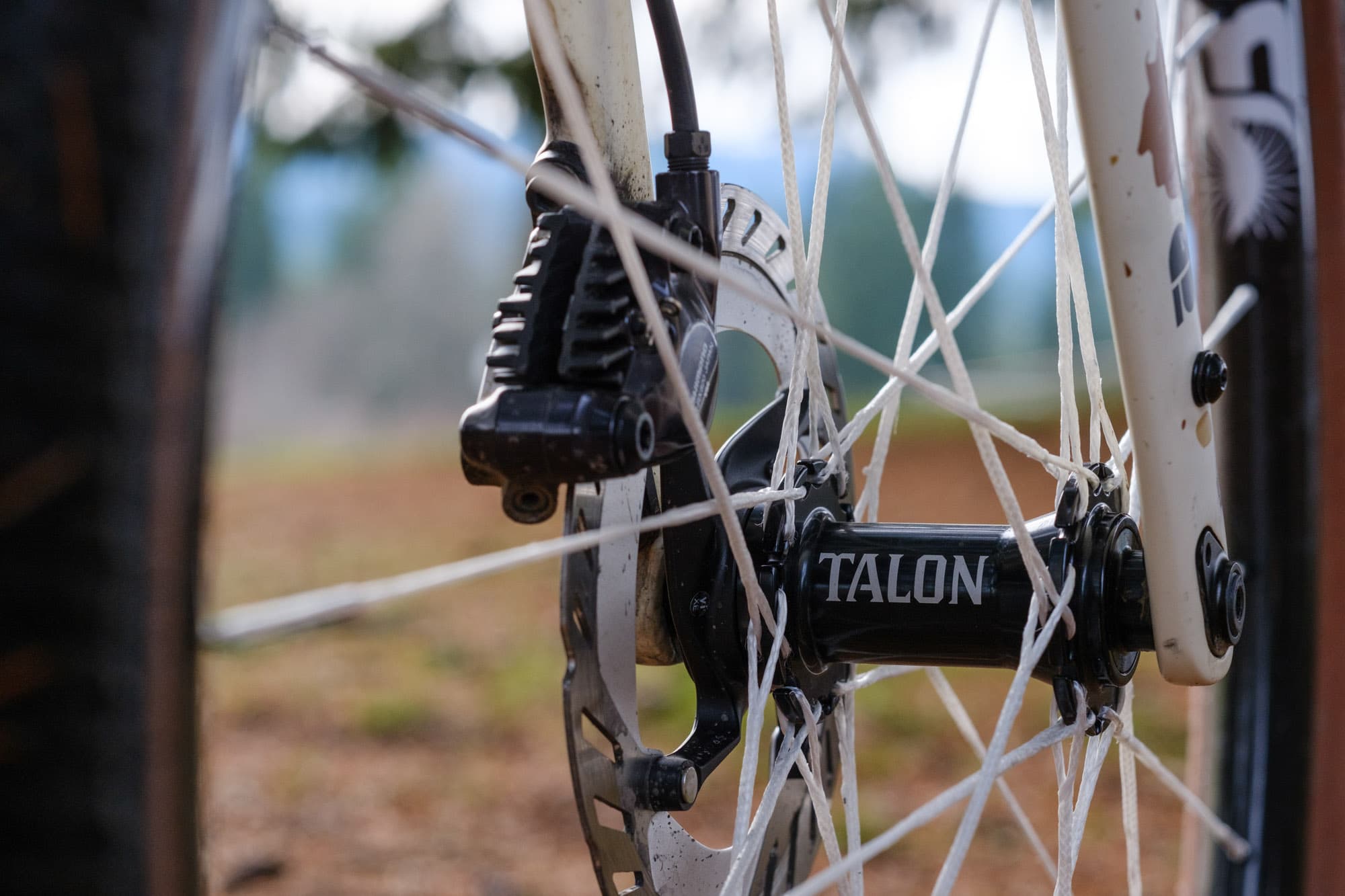 The Talon hubs.