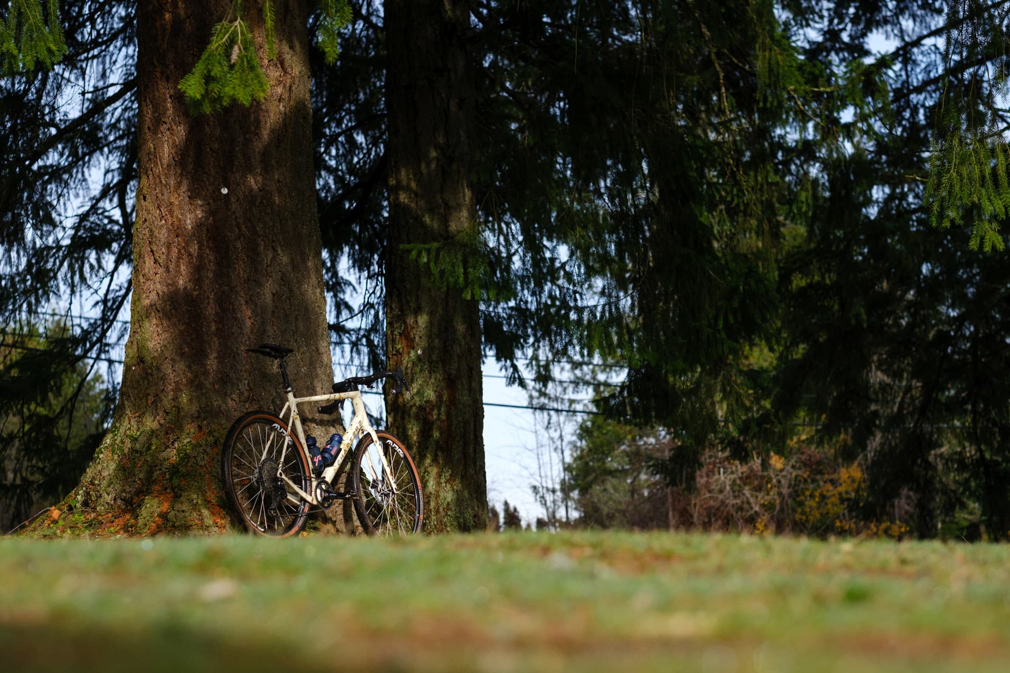'Berd Sparrow wheels on a Chapter 2 gravel bike.